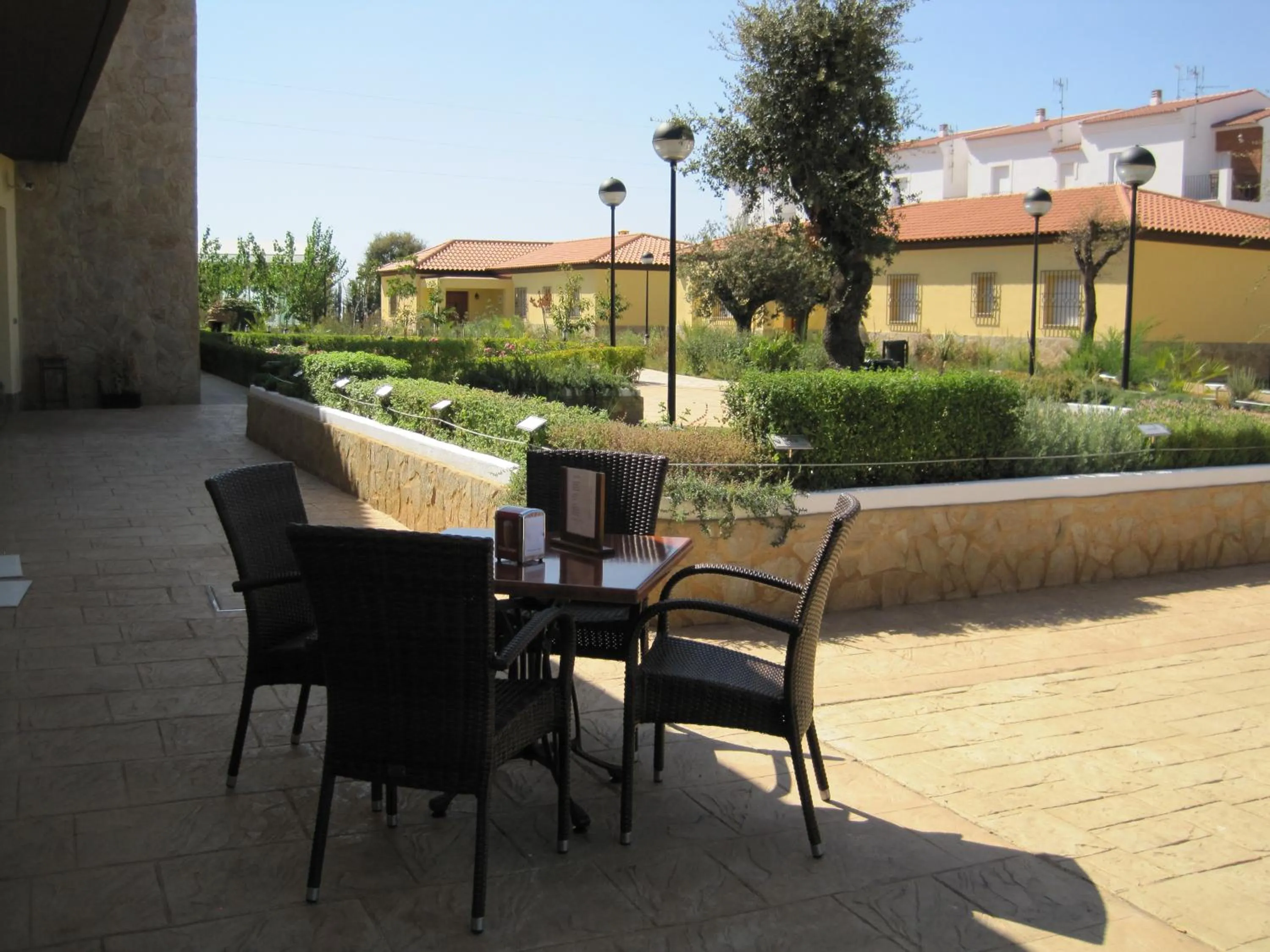 Garden in Hotel Sierra Luz