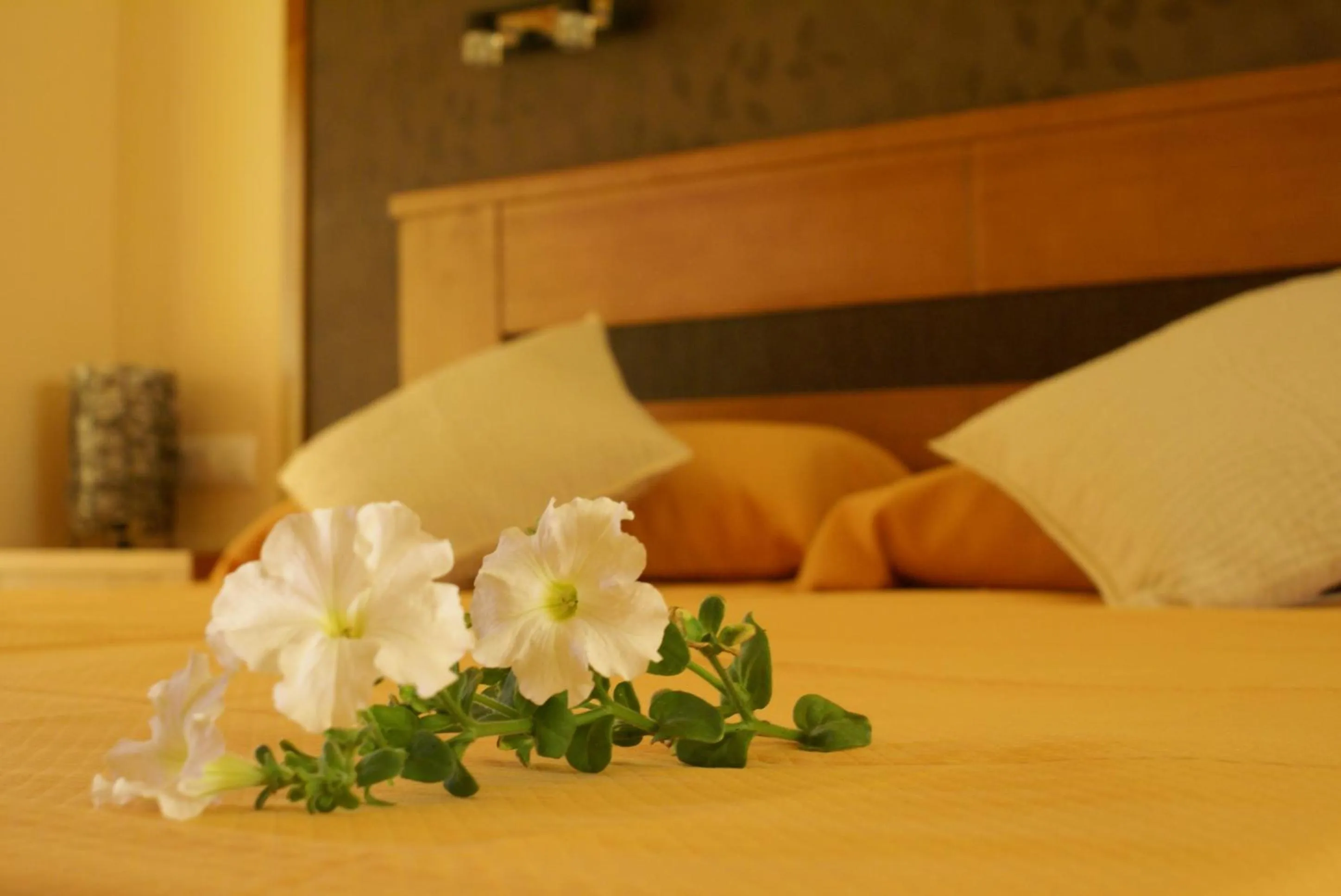 Bedroom, Bed in Hotel Sierra Luz