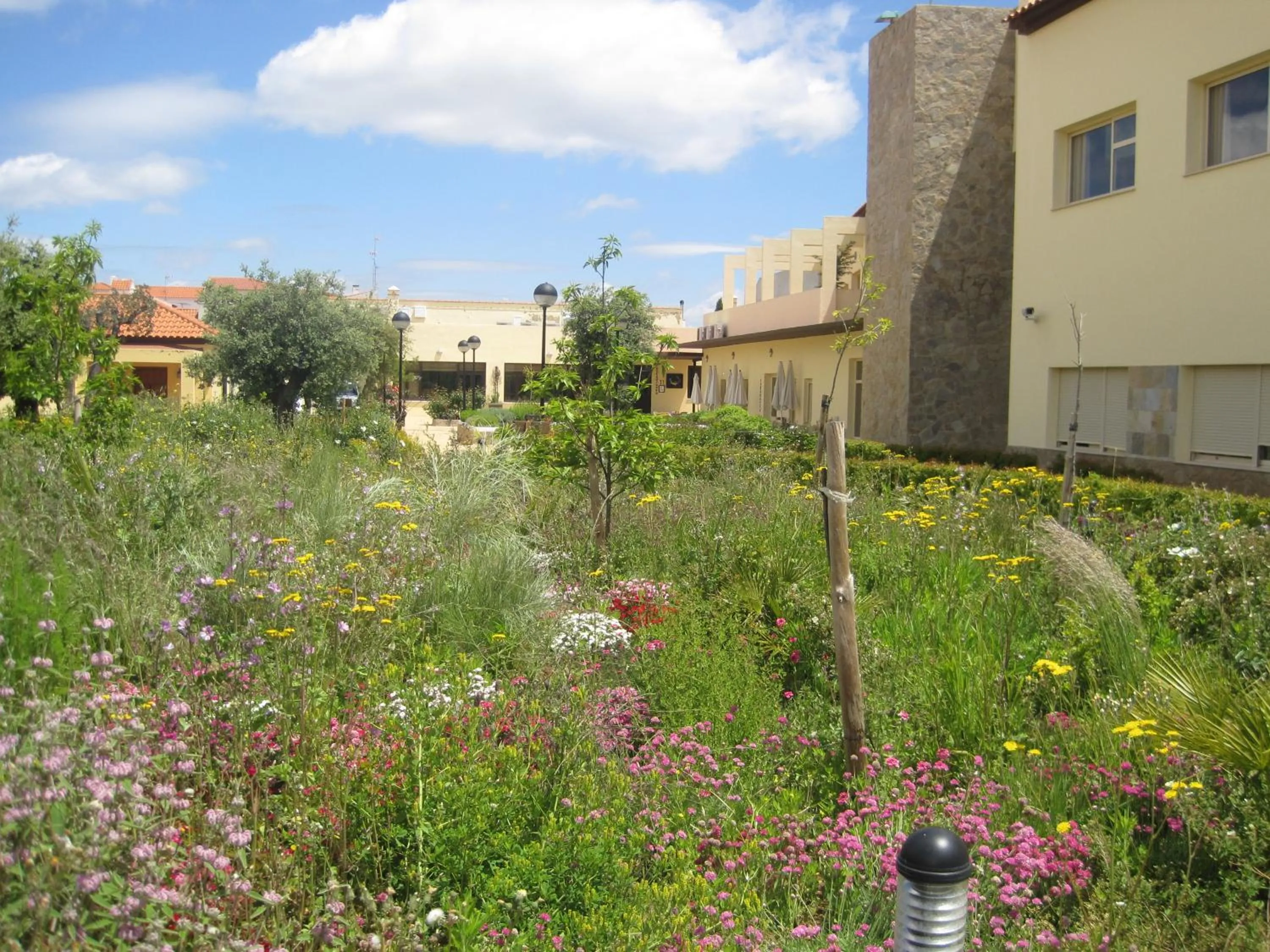 Garden in Hotel Sierra Luz