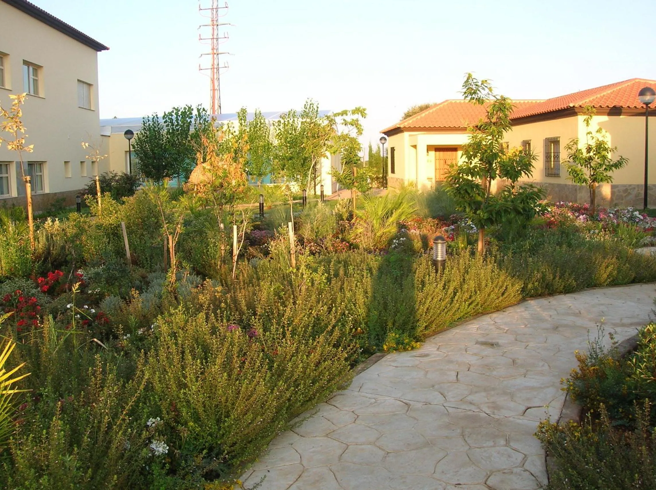 Garden in Hotel Sierra Luz