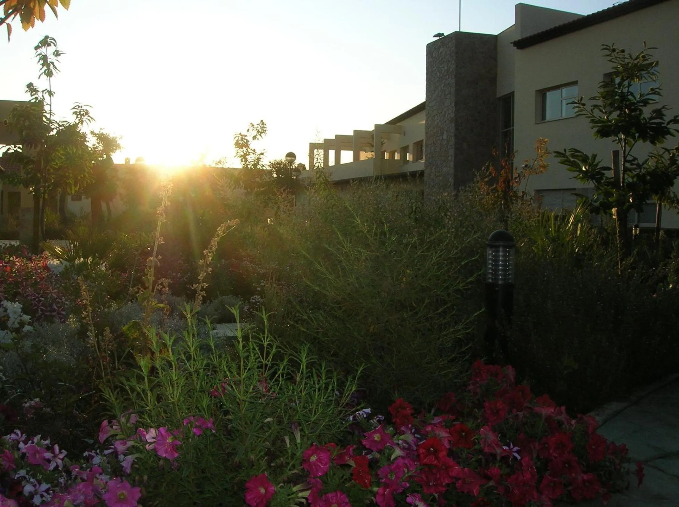 Garden in Hotel Sierra Luz