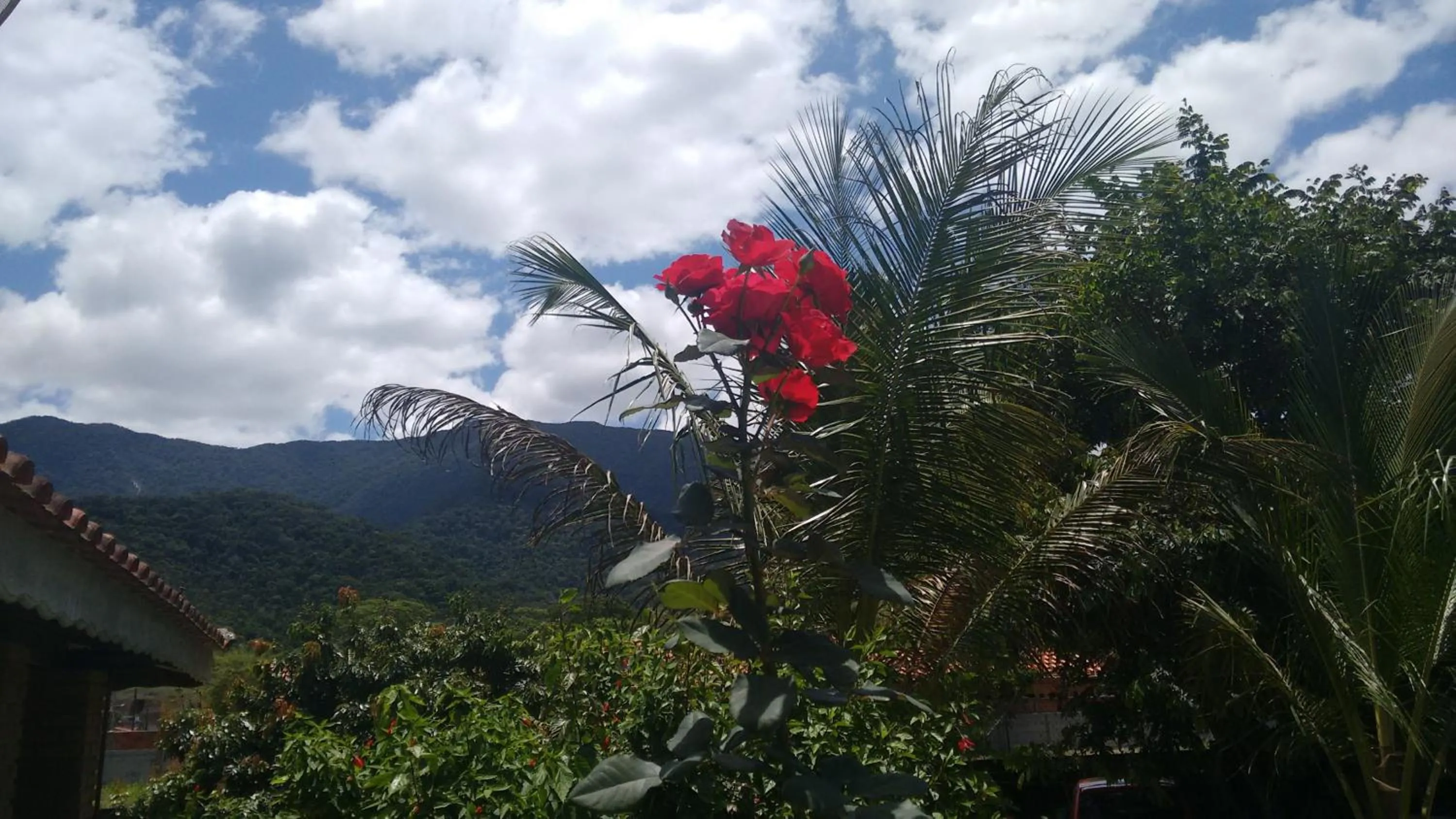 Garden view in Locação p final de semana Mourada Térrea