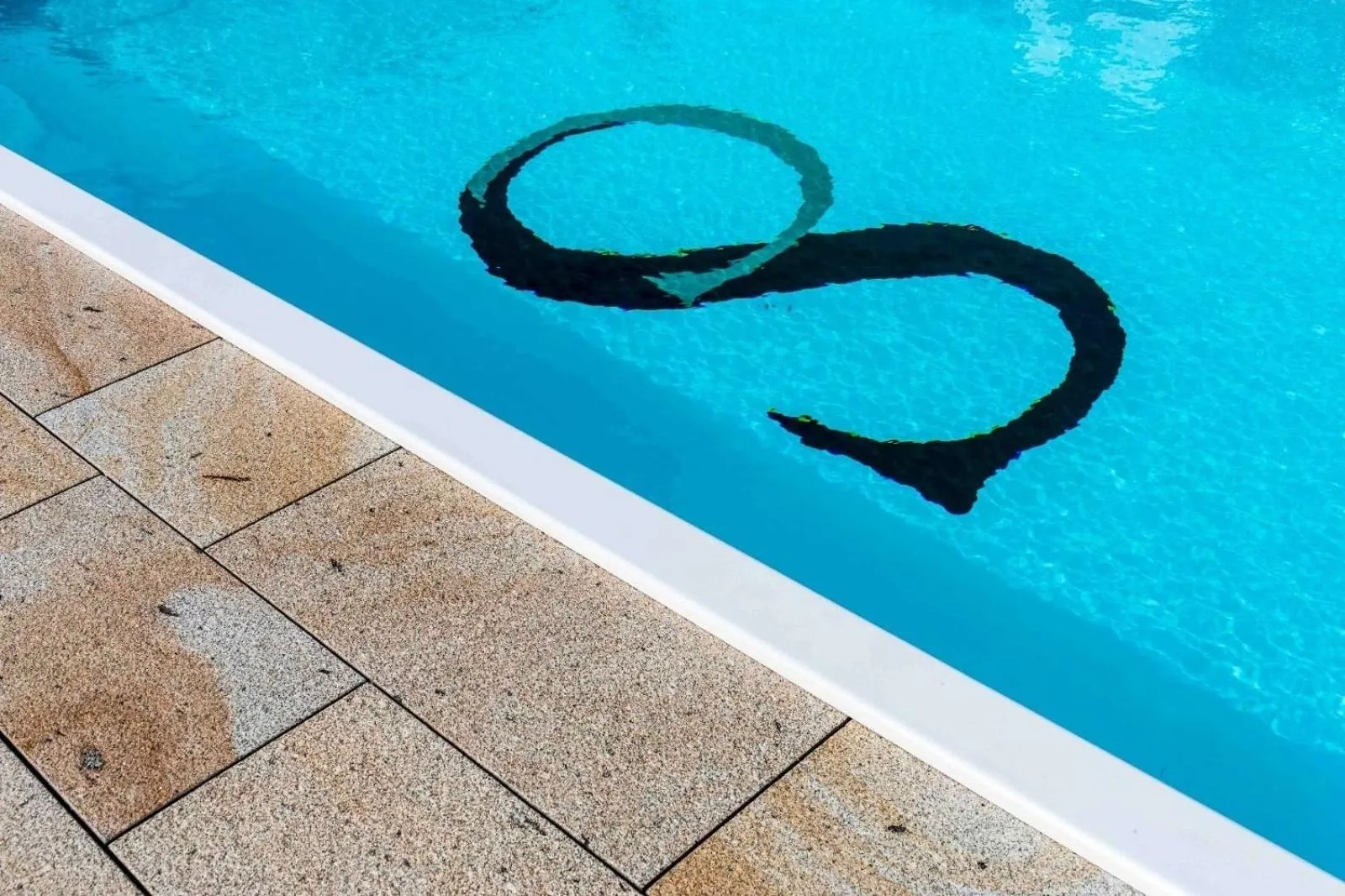 Swimming pool in Hotel Santa Cruz