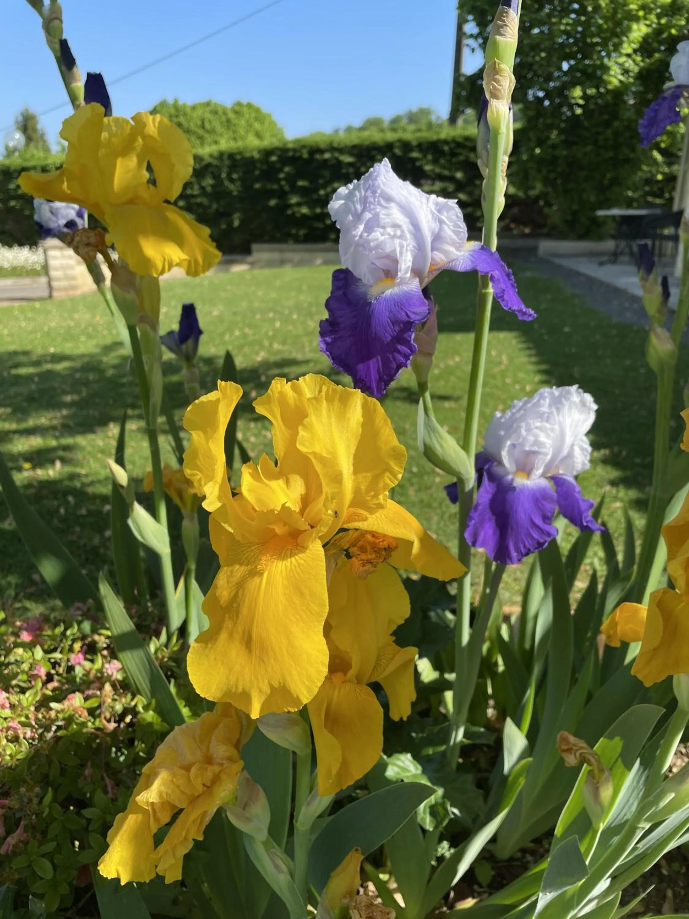 Property building in Hôtel Le Mas del Pechs - Chambres avec terrasse