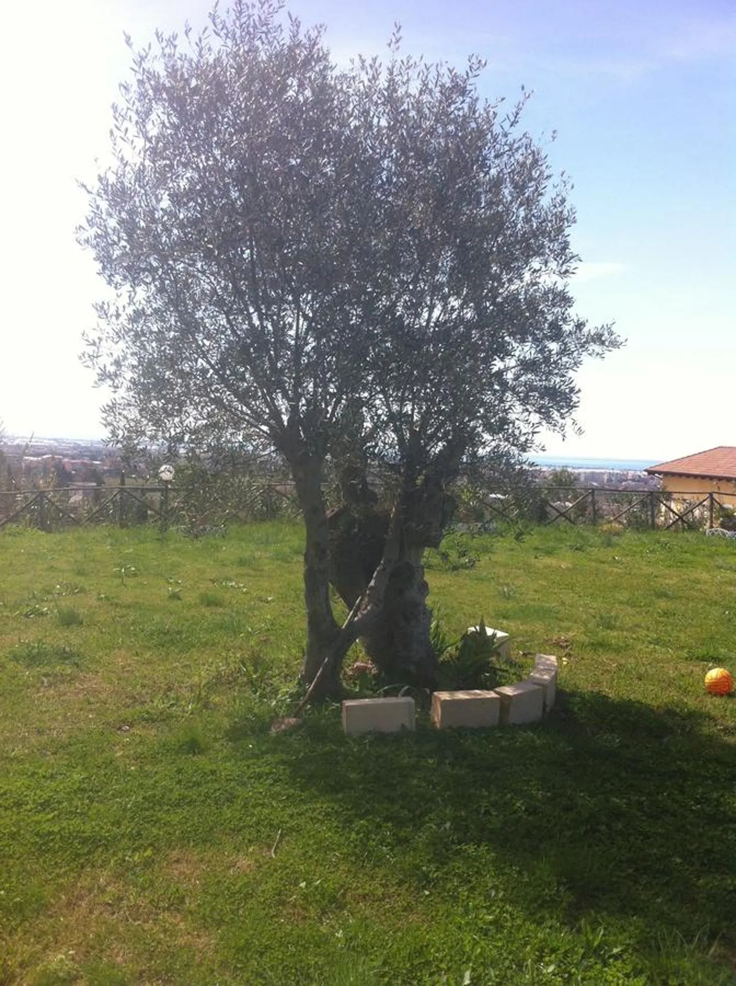 Garden in La dimora dei 5 sensi