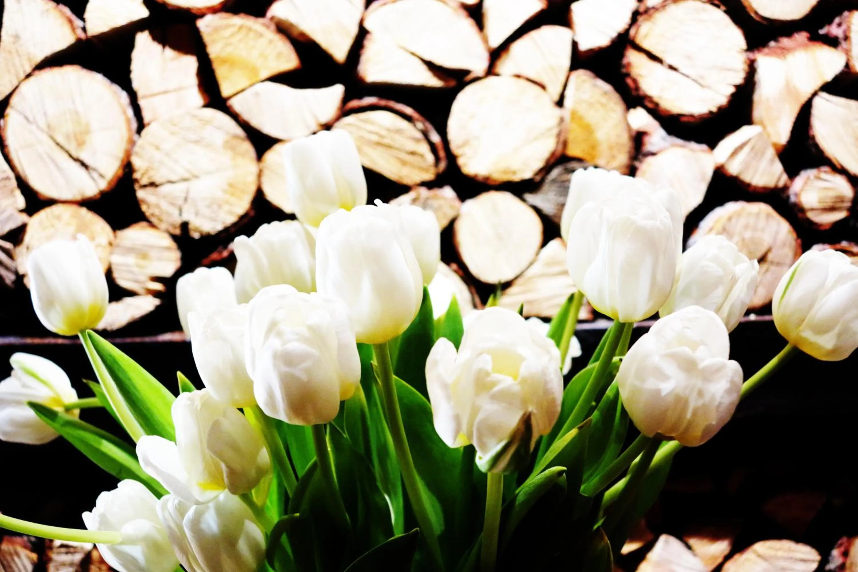 Other in Les Neiges D'Antan