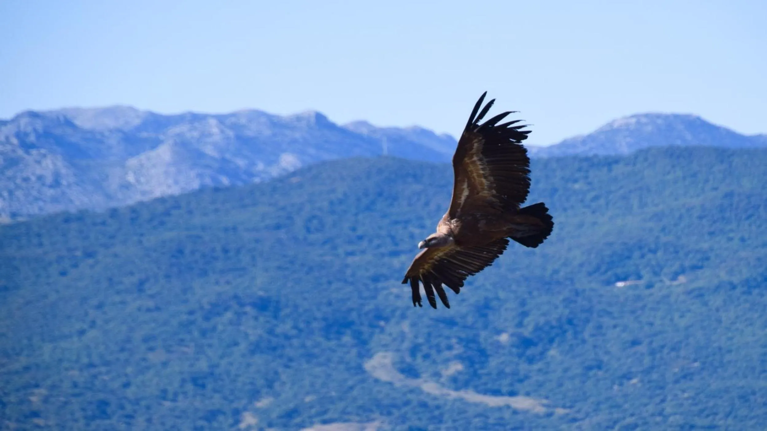 Mountain view in Casas Rurales Los Algarrobales