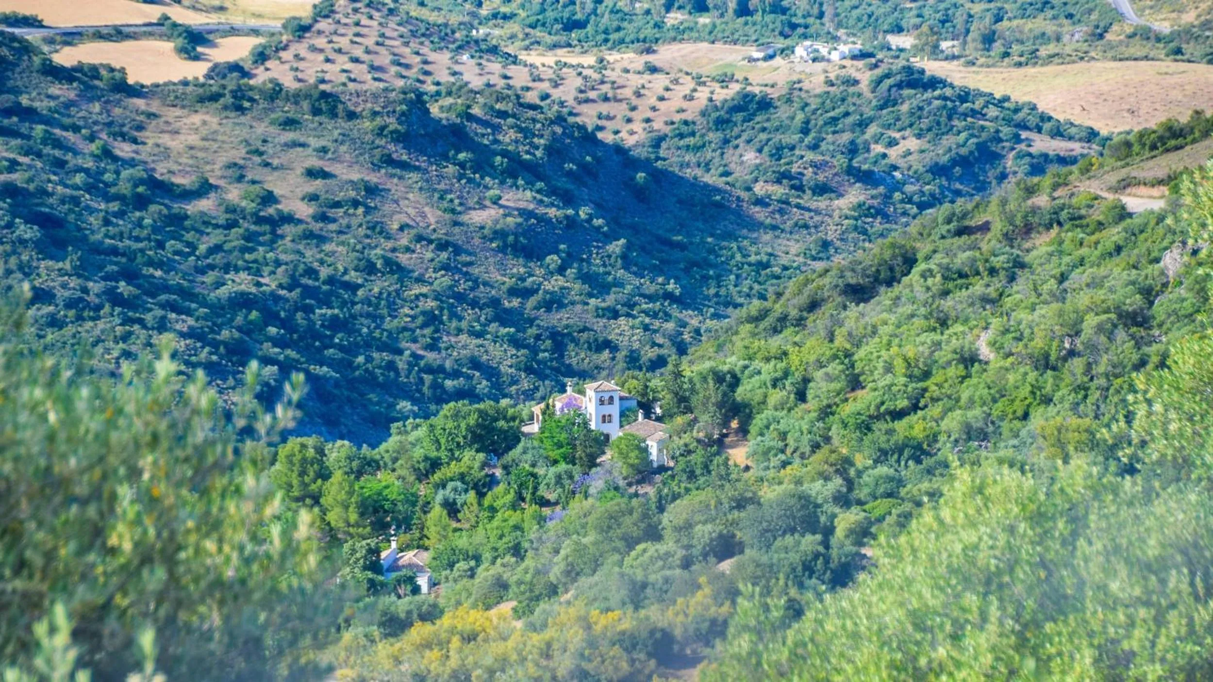 Natural landscape in Casas Rurales Los Algarrobales