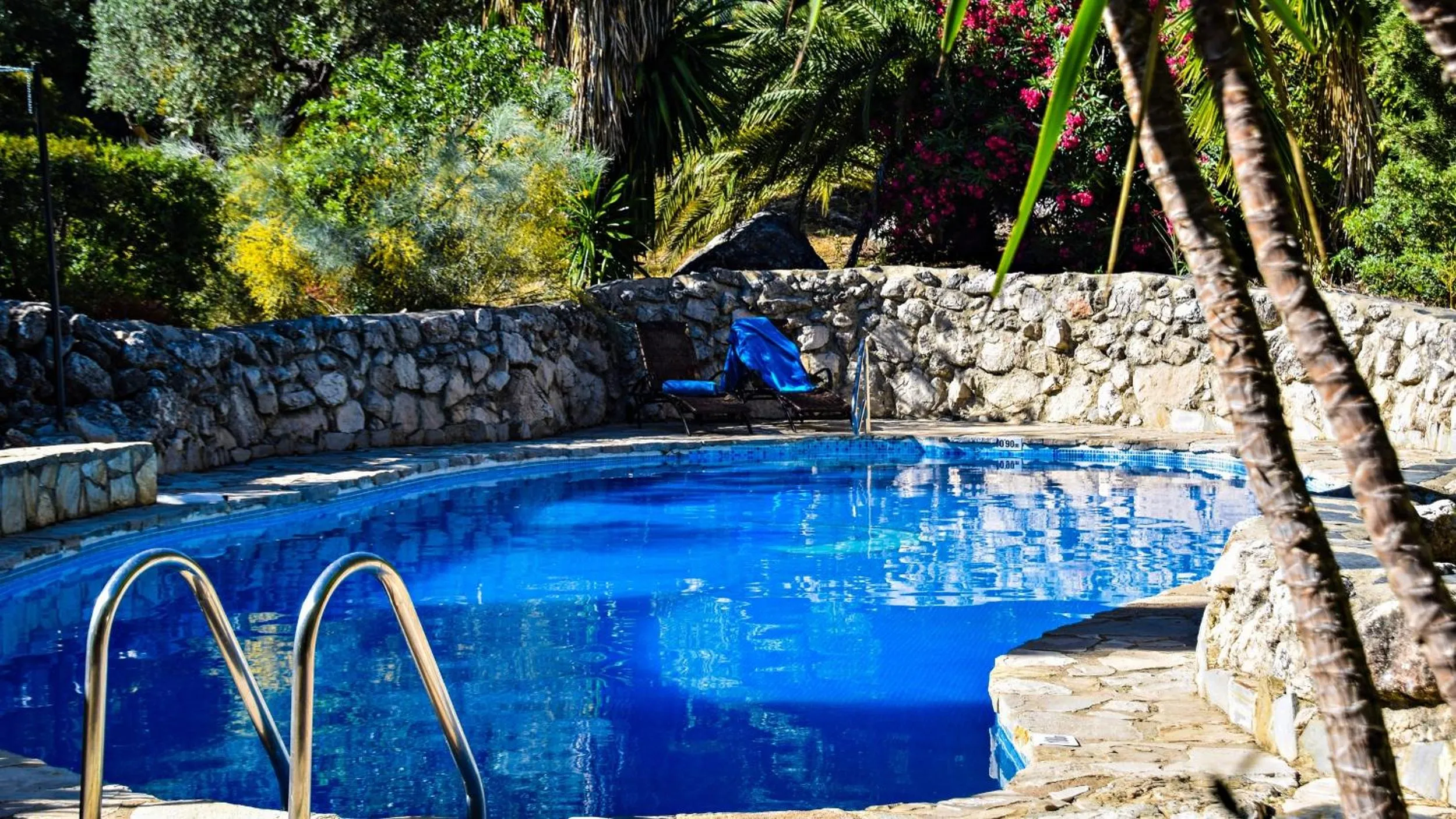 Swimming pool in Casas Rurales Los Algarrobales