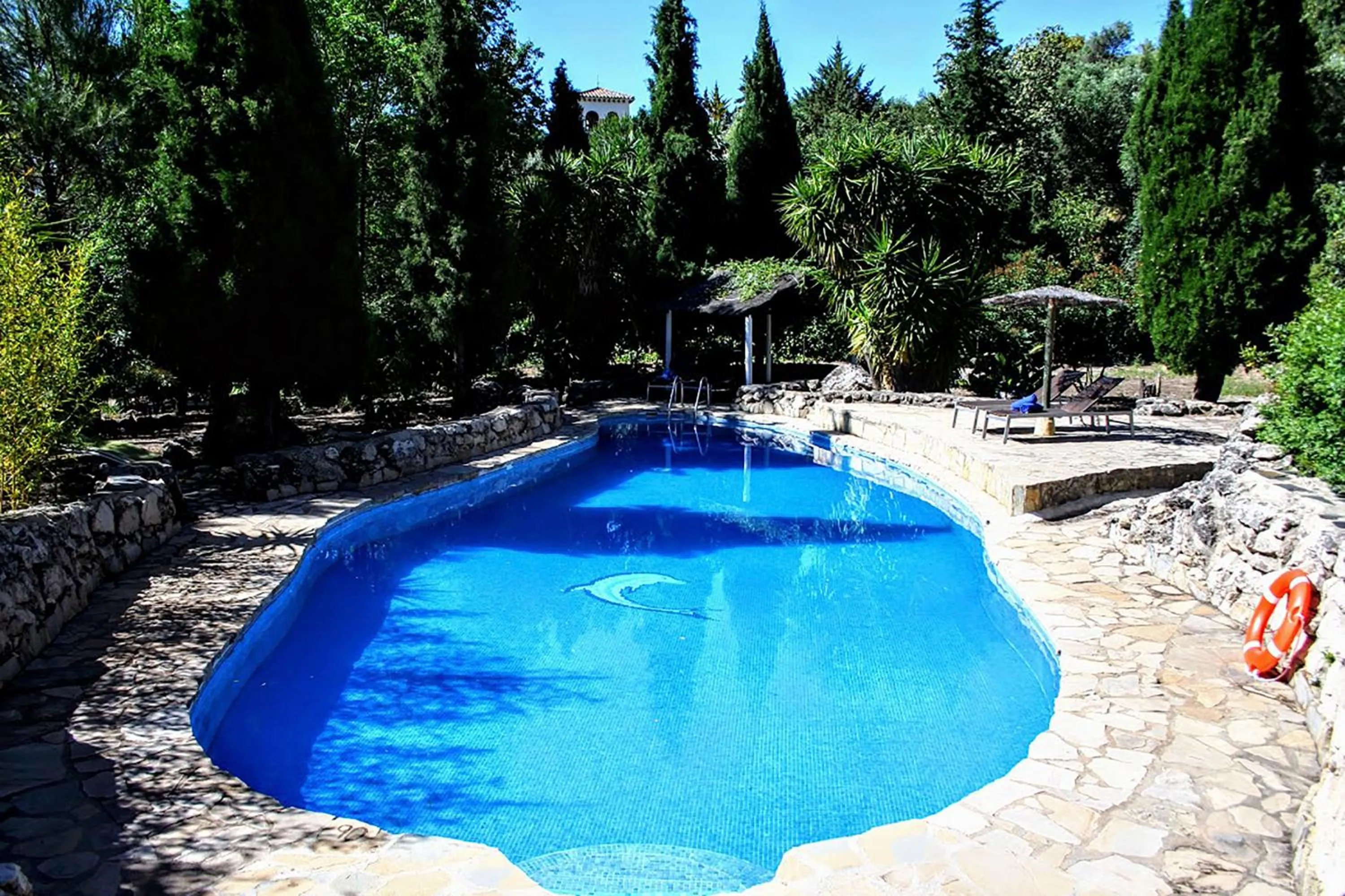 Swimming pool in Casas Rurales Los Algarrobales