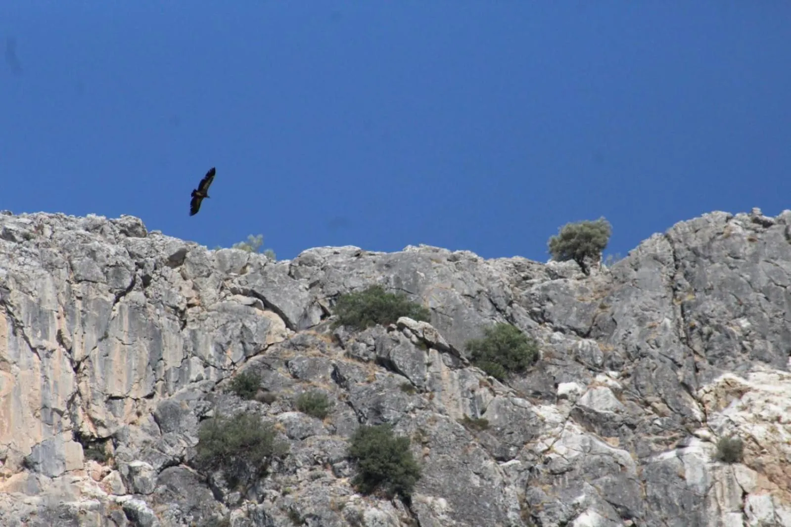 Mountain view in Casas Rurales Los Algarrobales