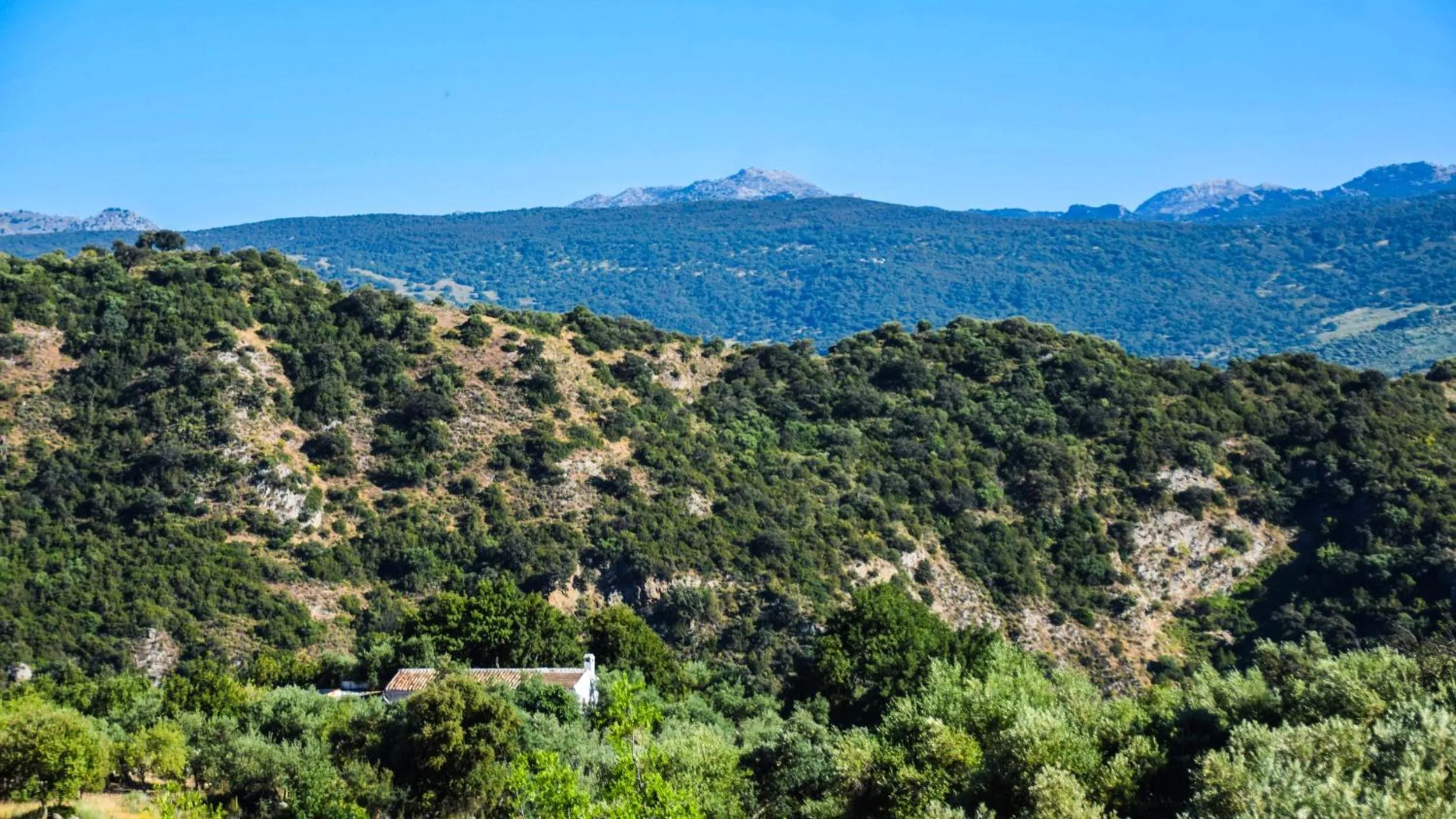 Off site in Casas Rurales Los Algarrobales