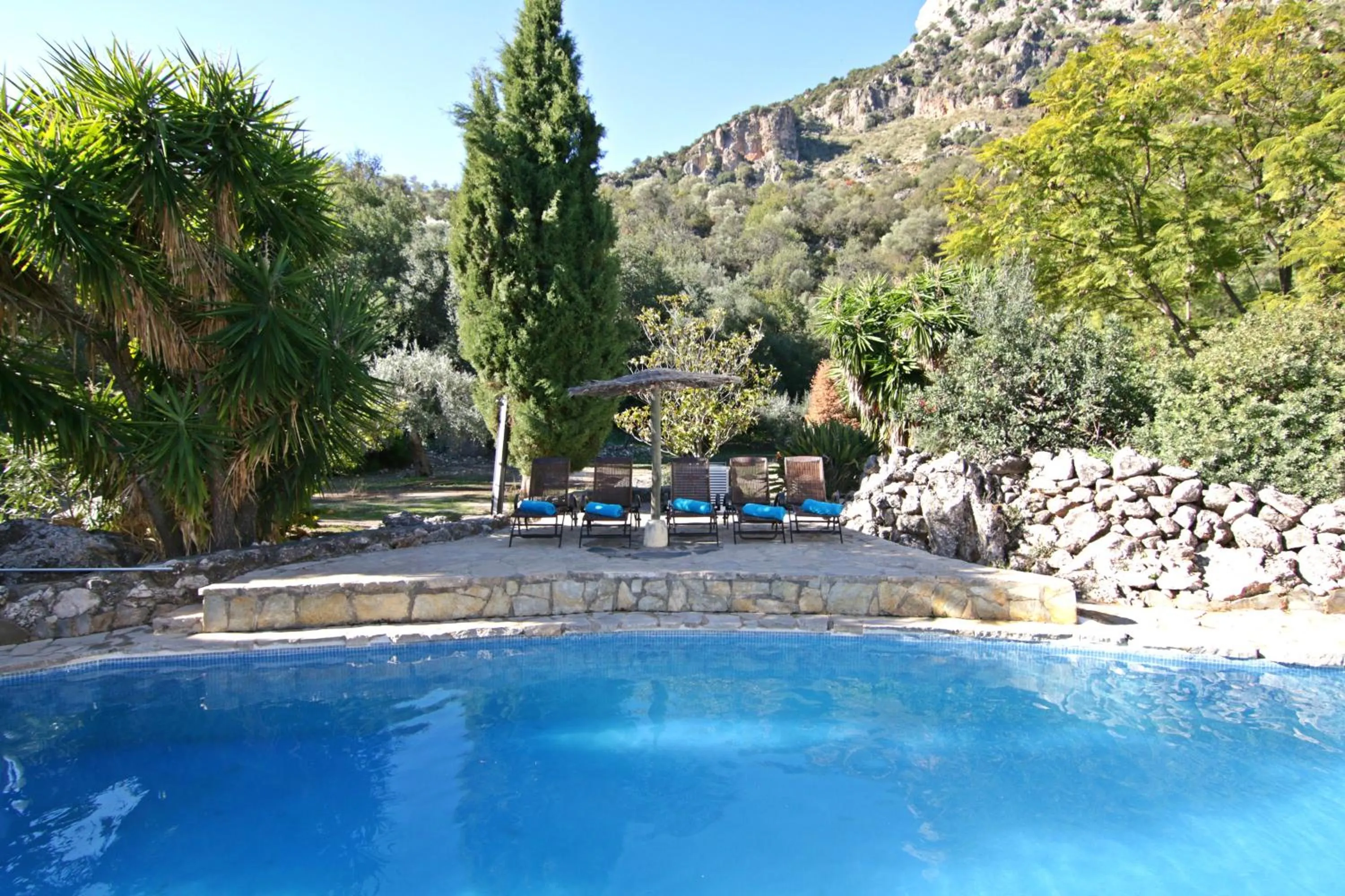 Swimming pool in Casas Rurales Los Algarrobales