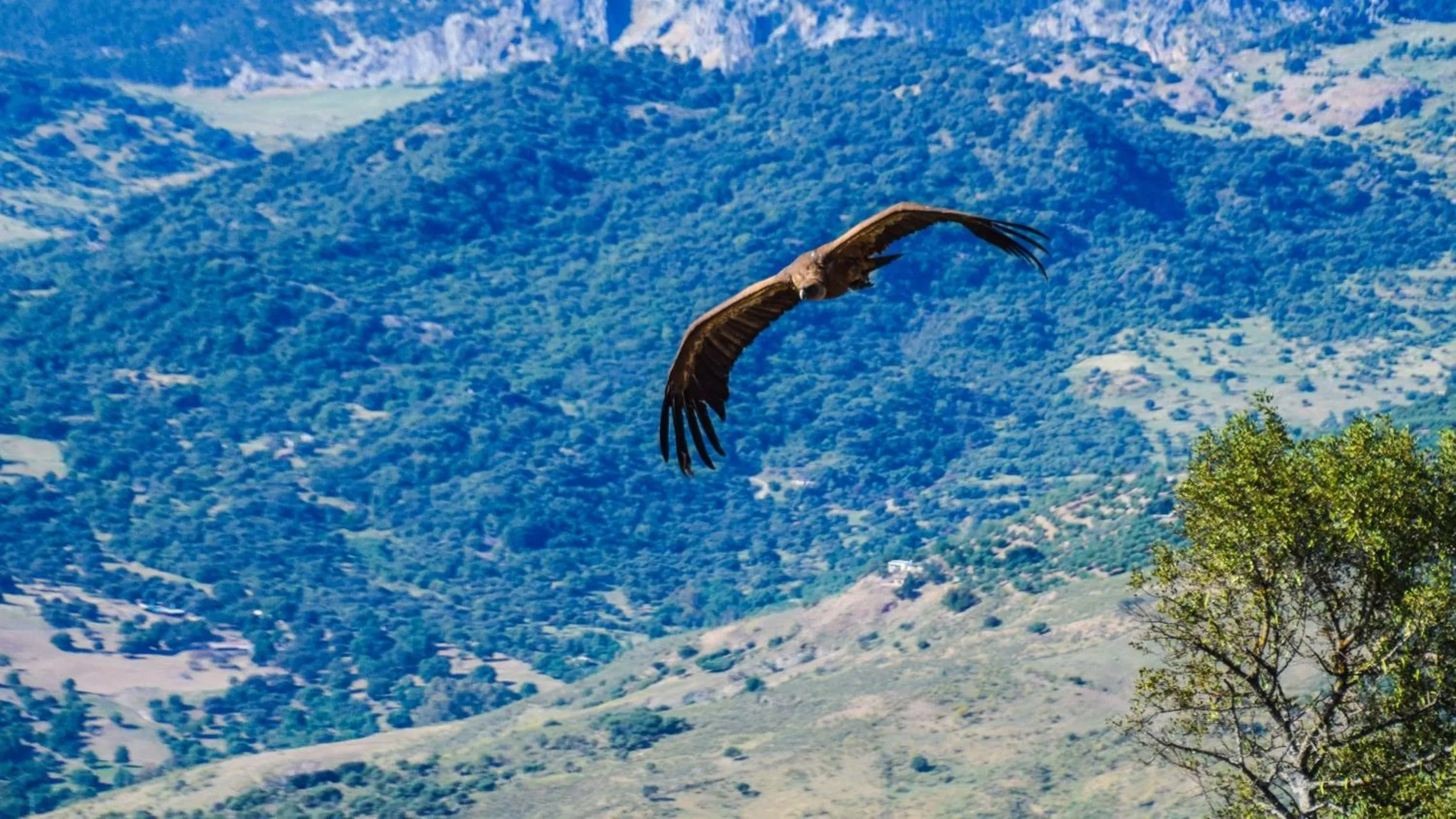 Natural landscape in Casas Rurales Los Algarrobales