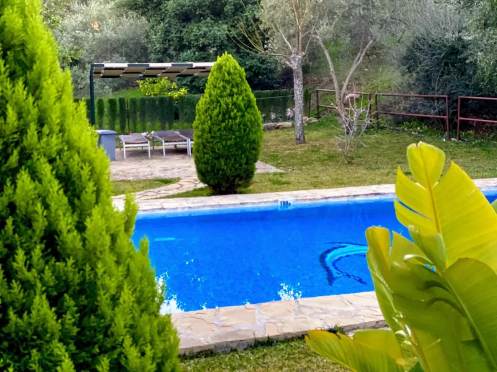 Swimming pool in Casas Rurales Los Algarrobales
