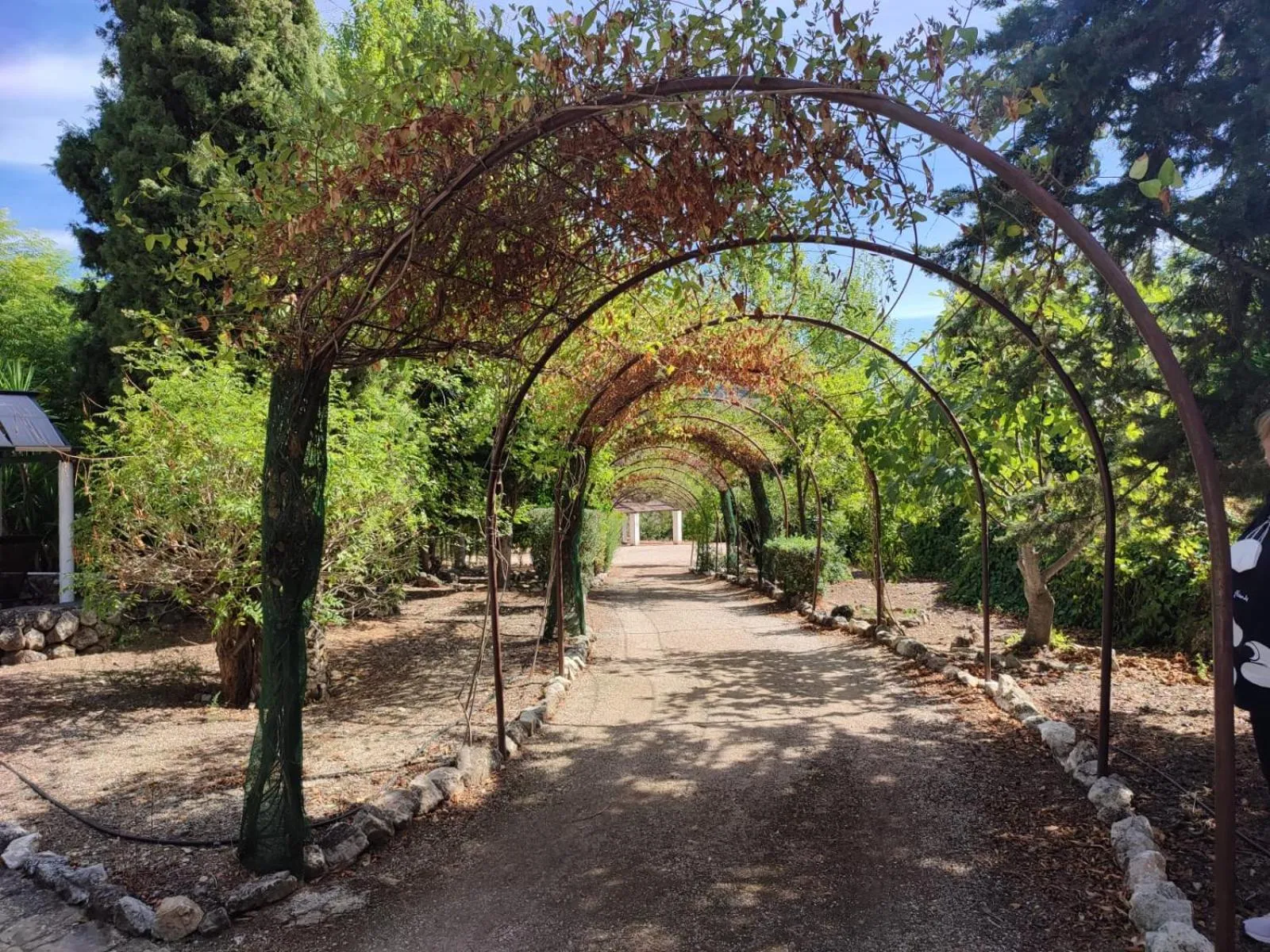 Garden in Casas Rurales Los Algarrobales