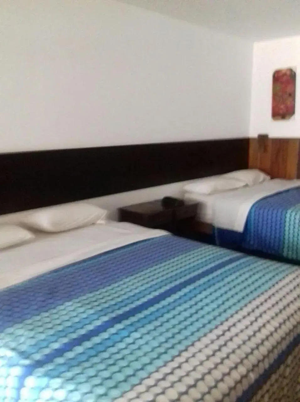Twin Room - single occupancy in CasaHotel Jockey Plaza Mall Twin Room - single occupancy in CasaHotel Jockey Plaza Mall