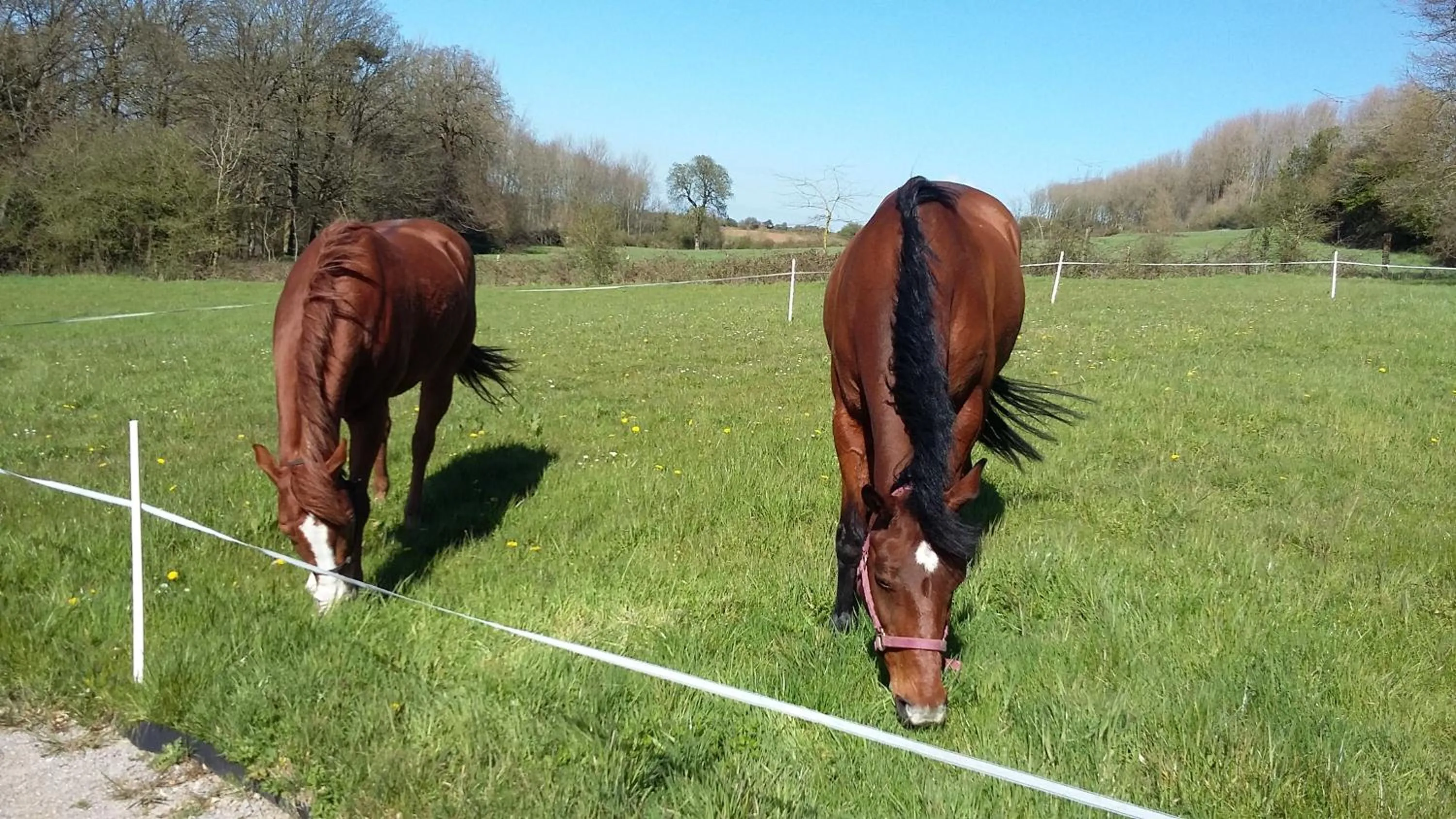 Natural landscape in Les Hauts de la Cluse