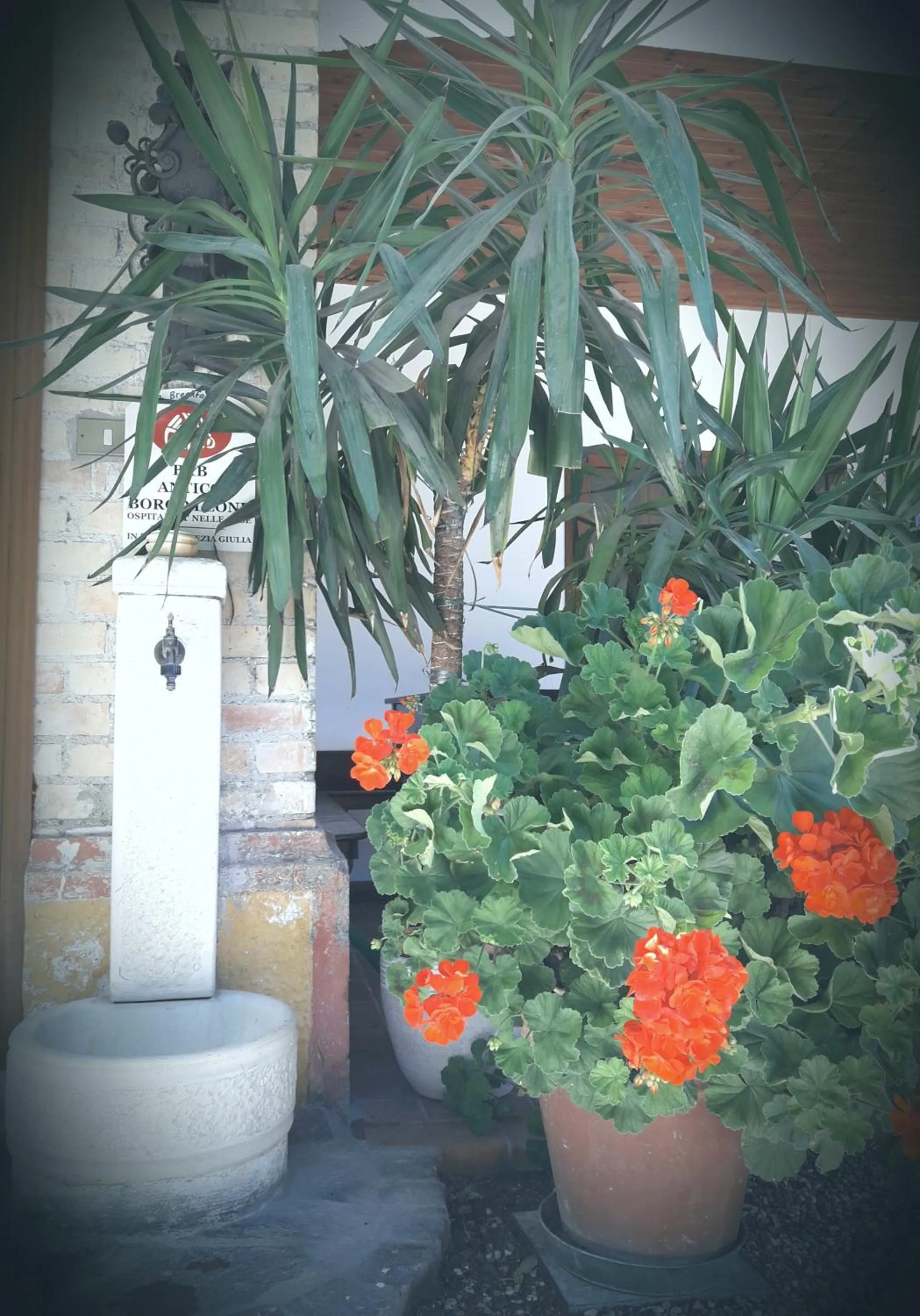 Patio in Antico Borgo Leone