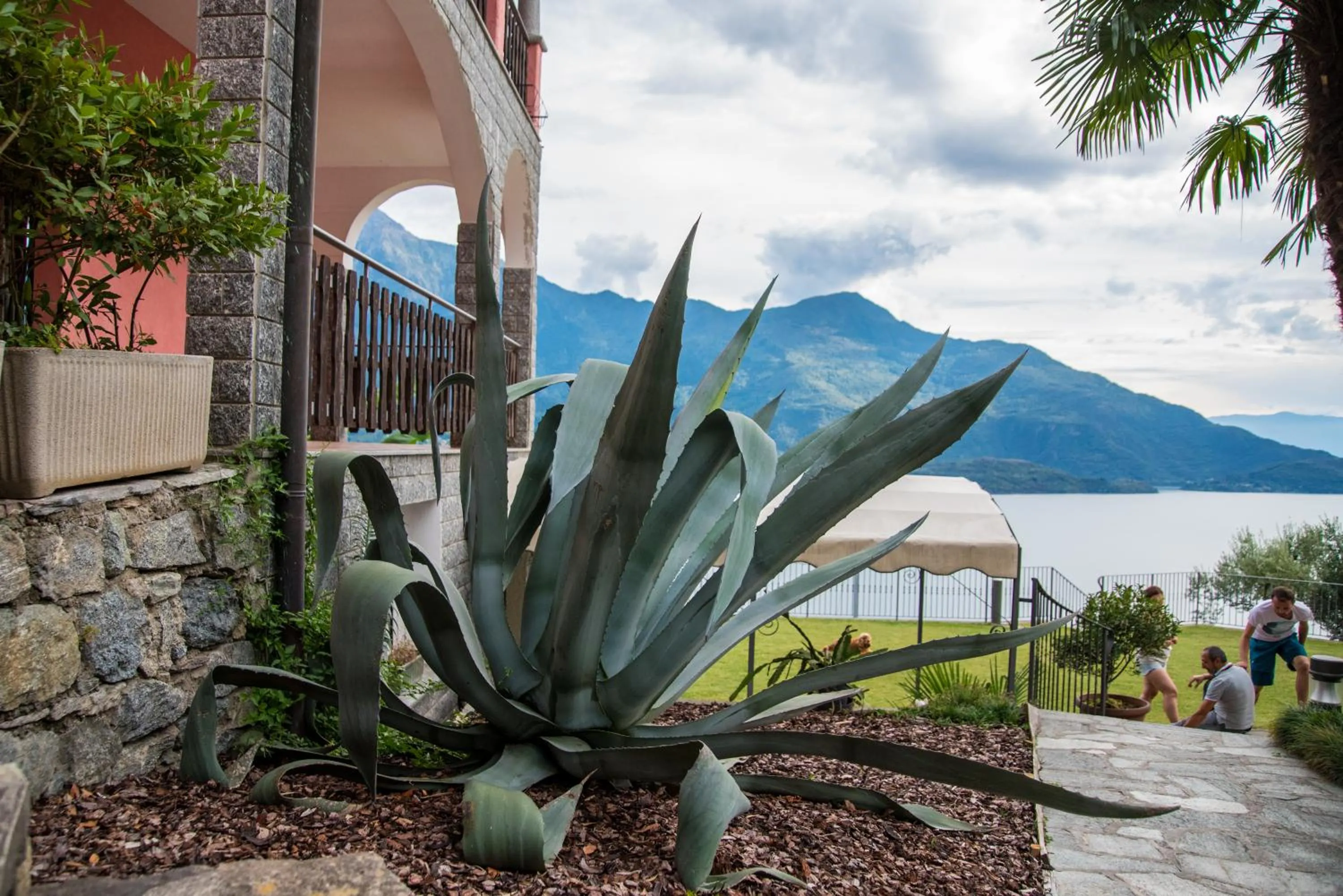 Garden view in Residence Casa Rosa