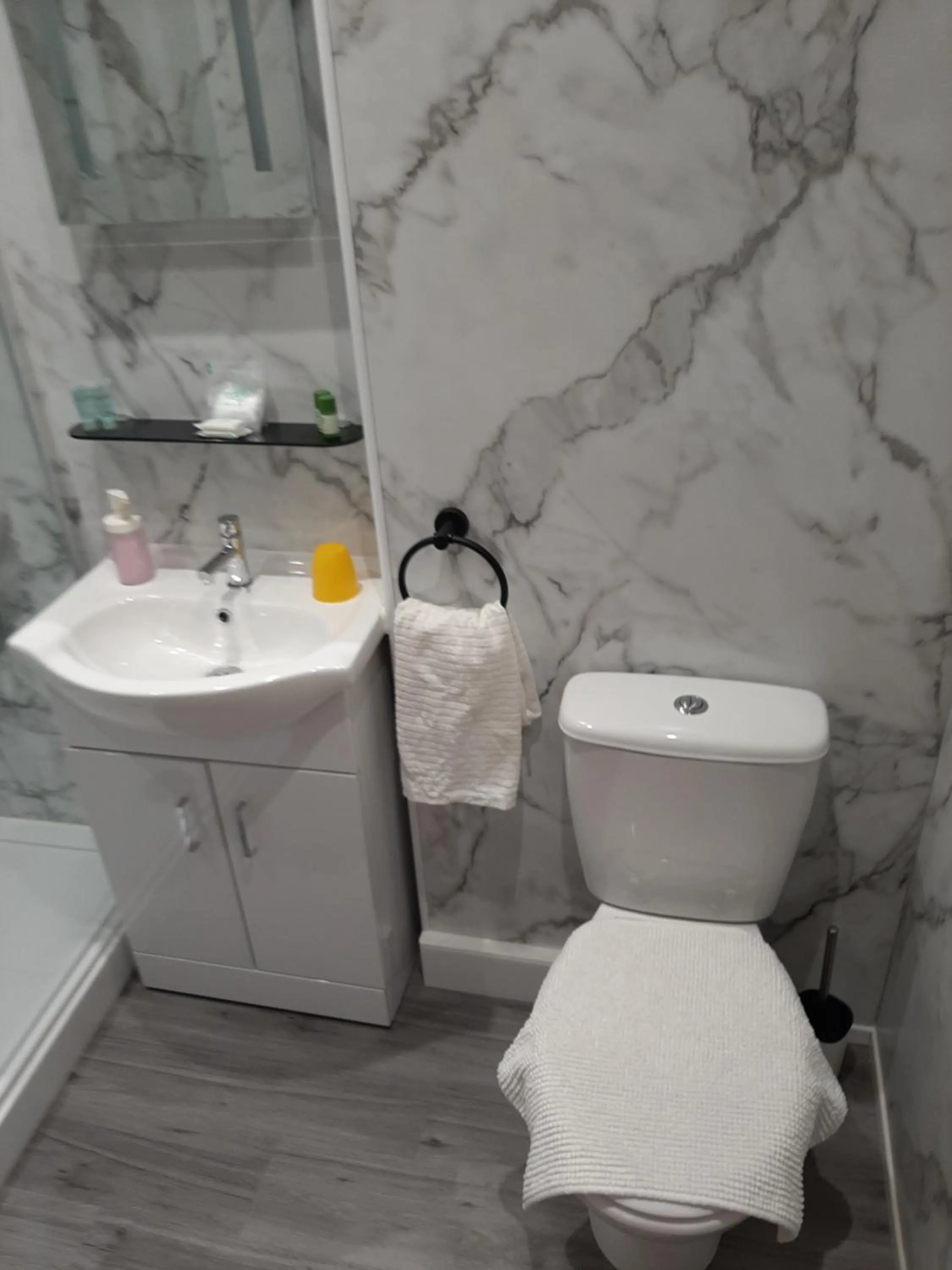 Toilet in Another Room