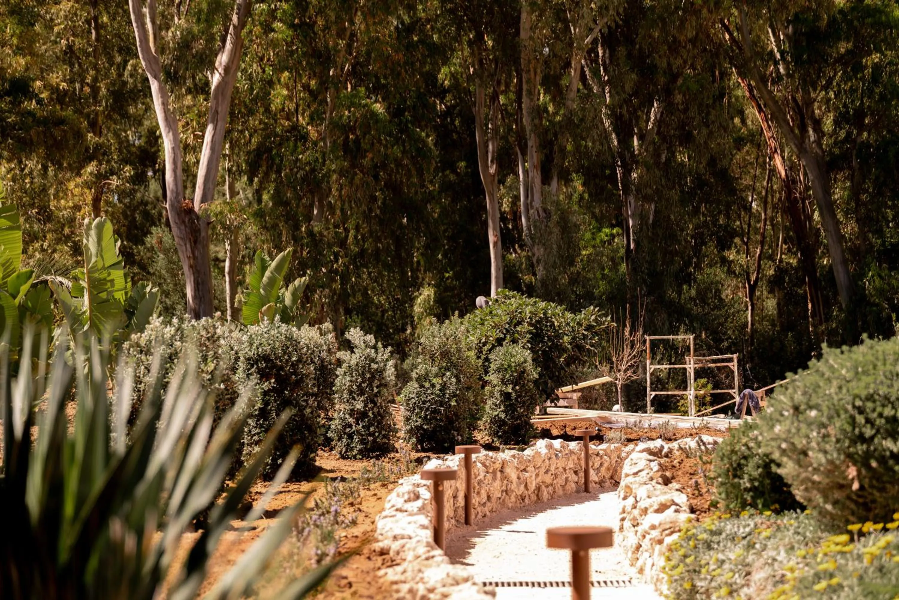 Garden in Luna Minoica Suites and Apartments