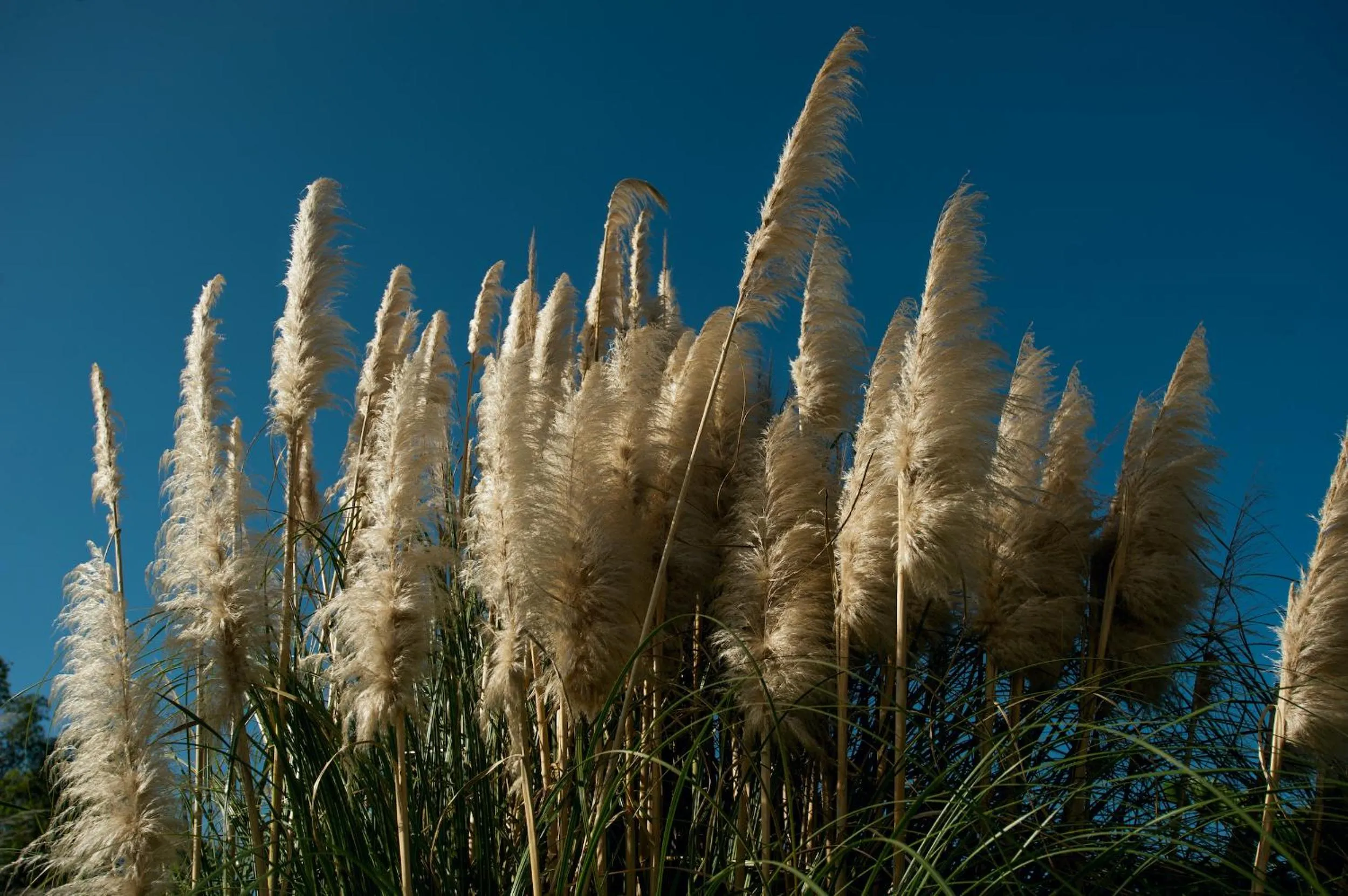 Summer in Luna Minoica Suites and Apartments