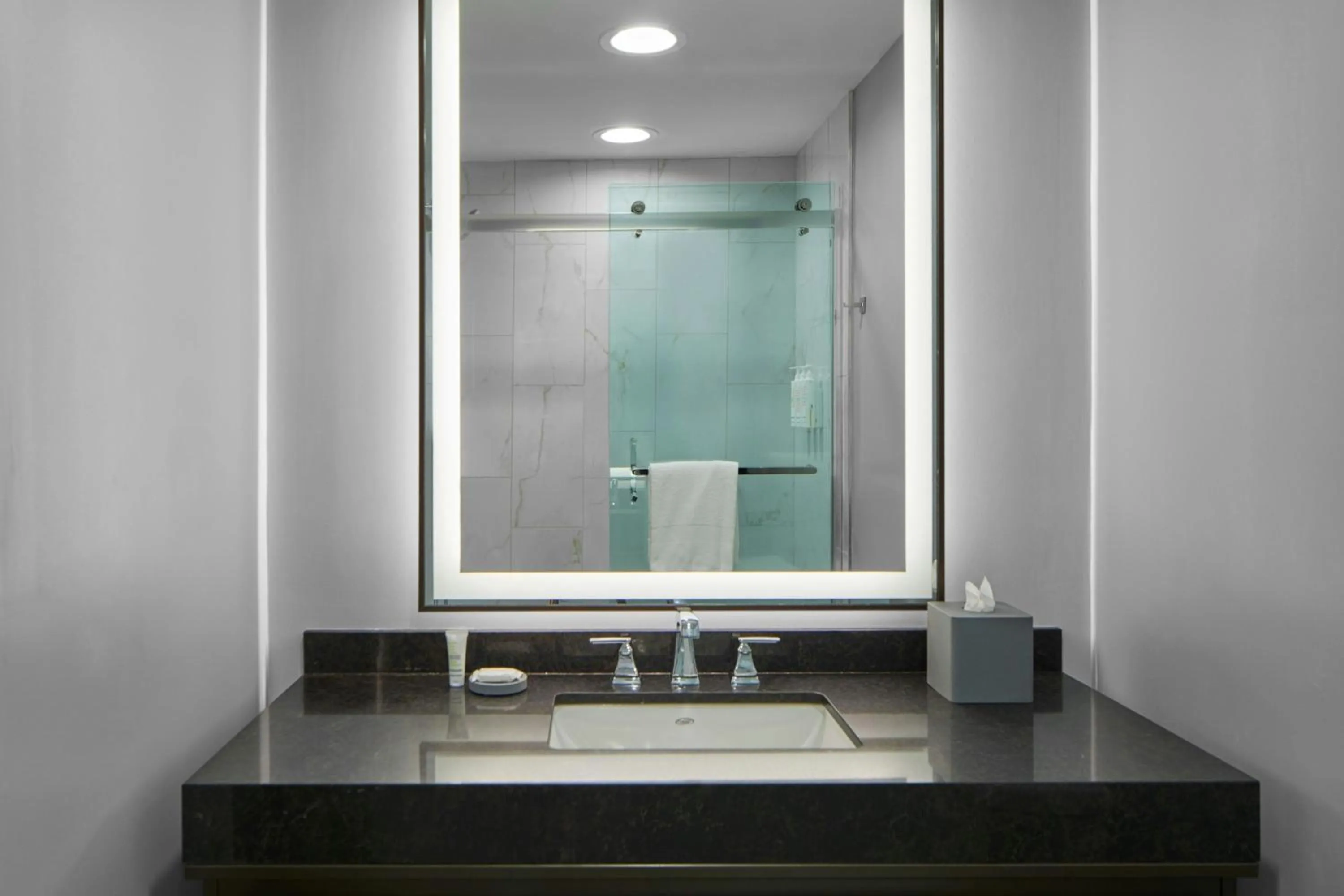 Bathroom in Montgomery Marriott Prattville Hotel & Conf Ctr at Capitol Hill