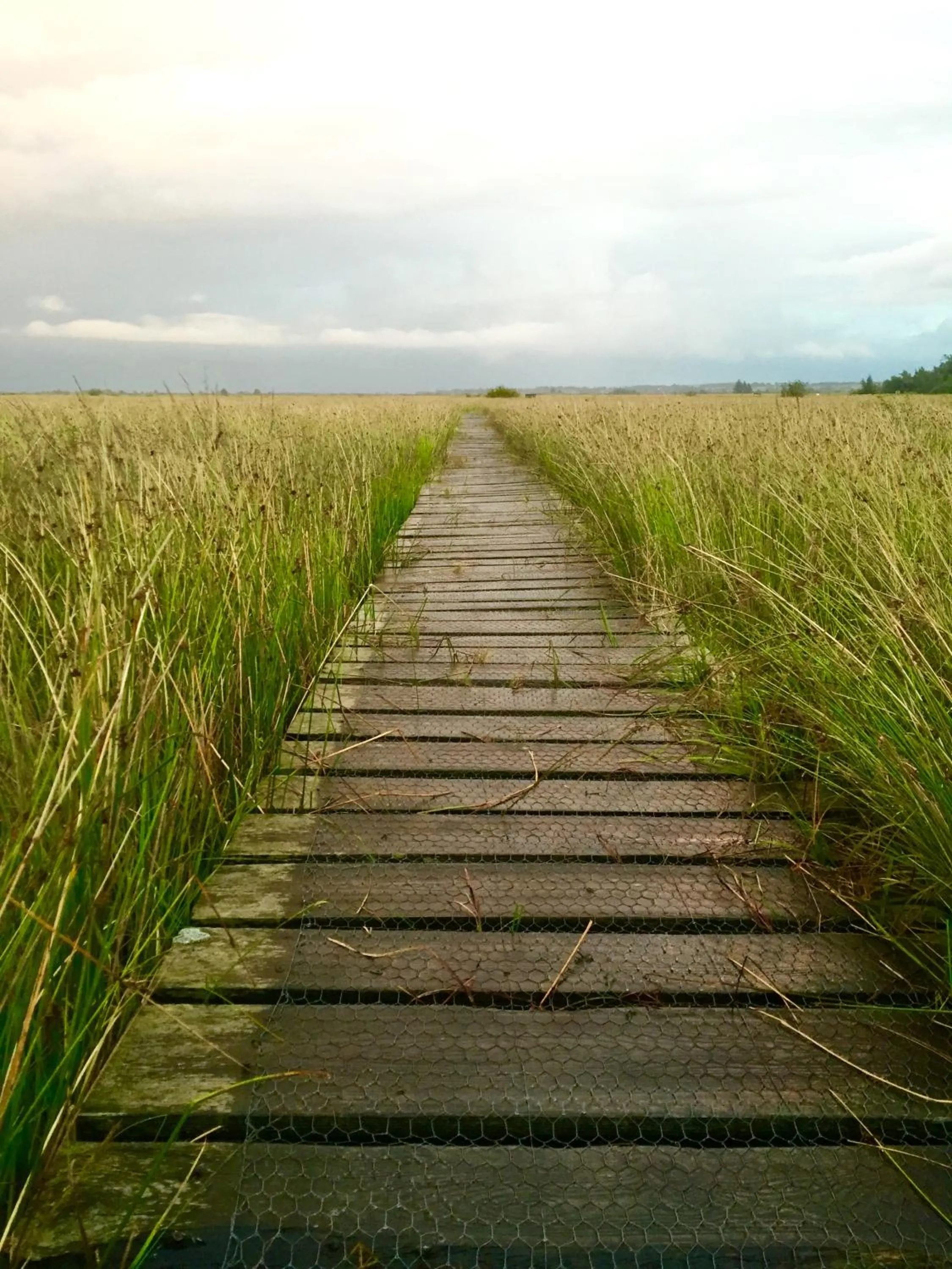 Natural landscape in SchönErleben