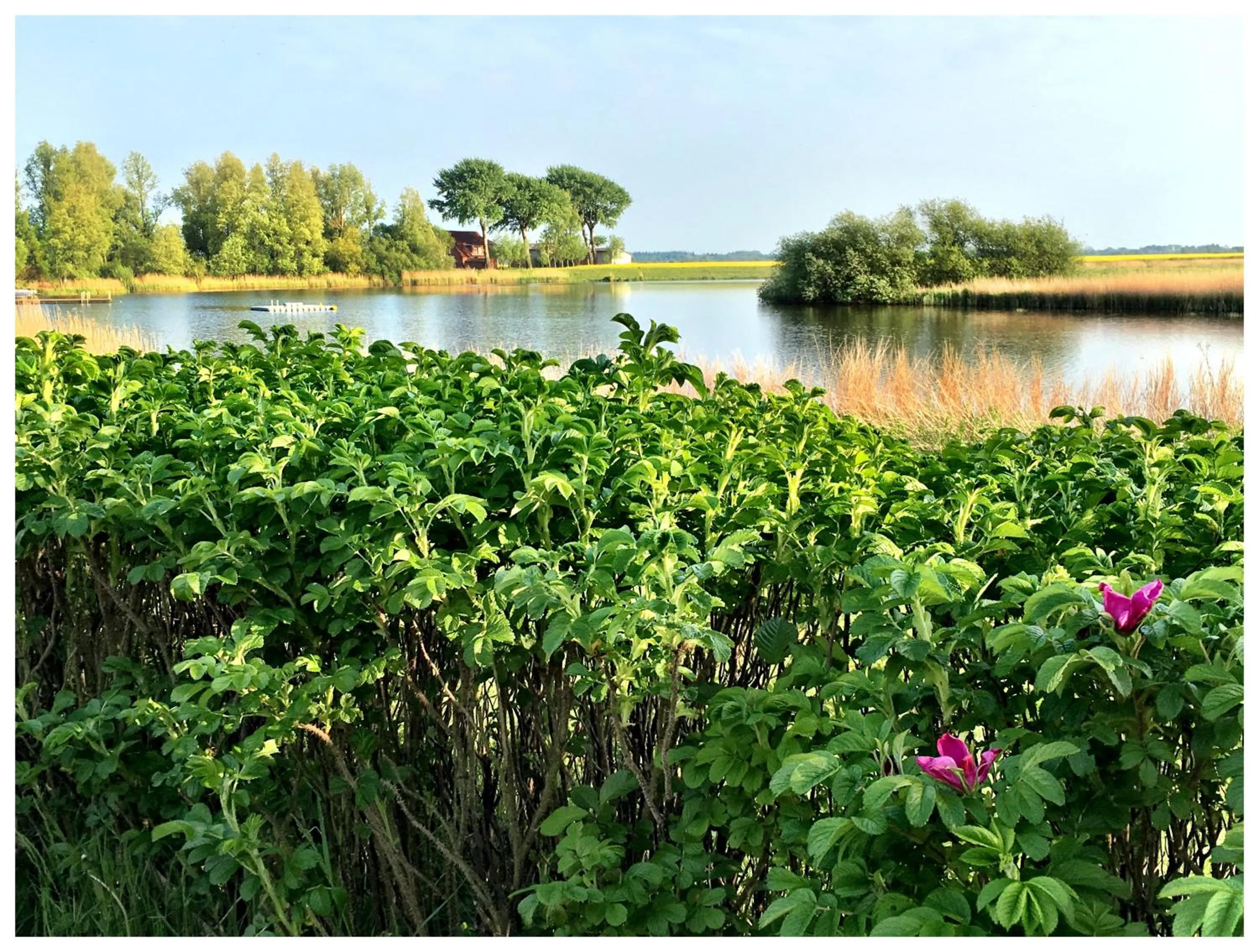 Fishing in SchönErleben