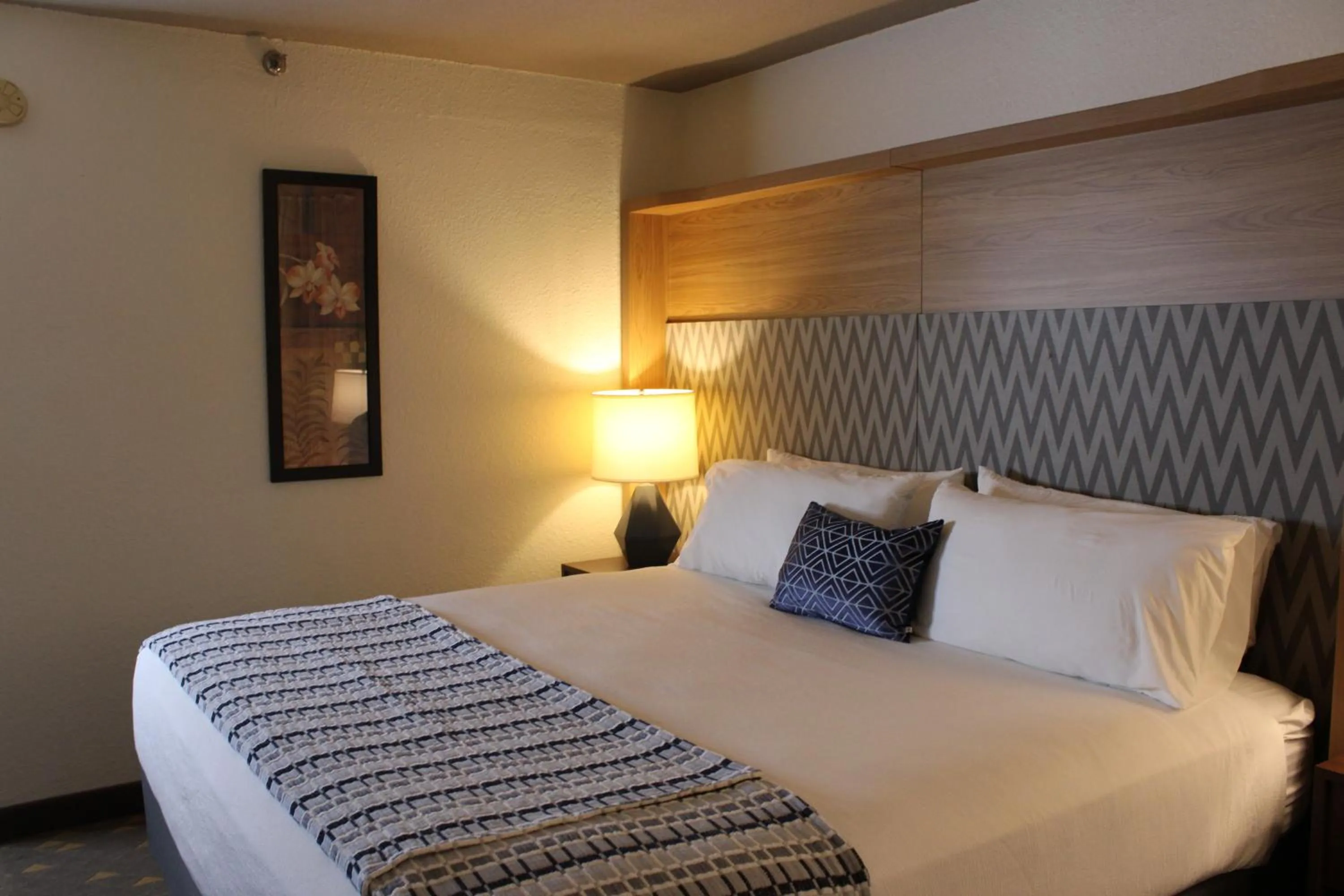 Bed in Wyndham Flint MI Grand Blanc Bishop Airport Conference Ct