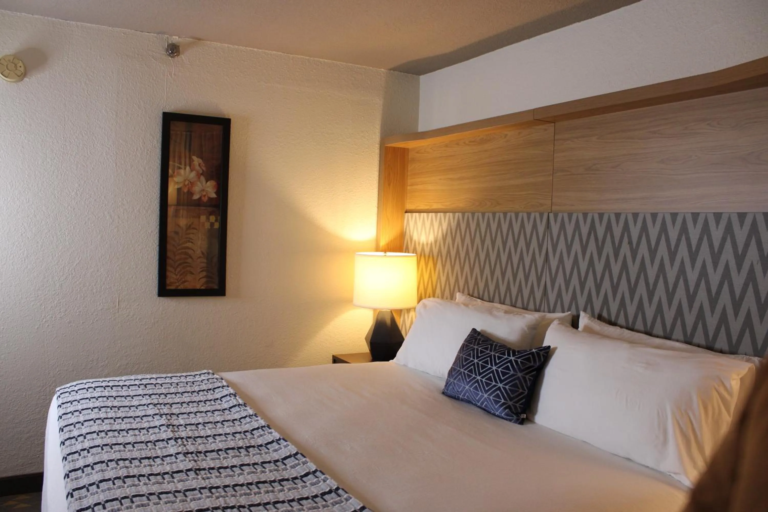 Bed in Wyndham Flint MI Grand Blanc Bishop Airport Conference Ct