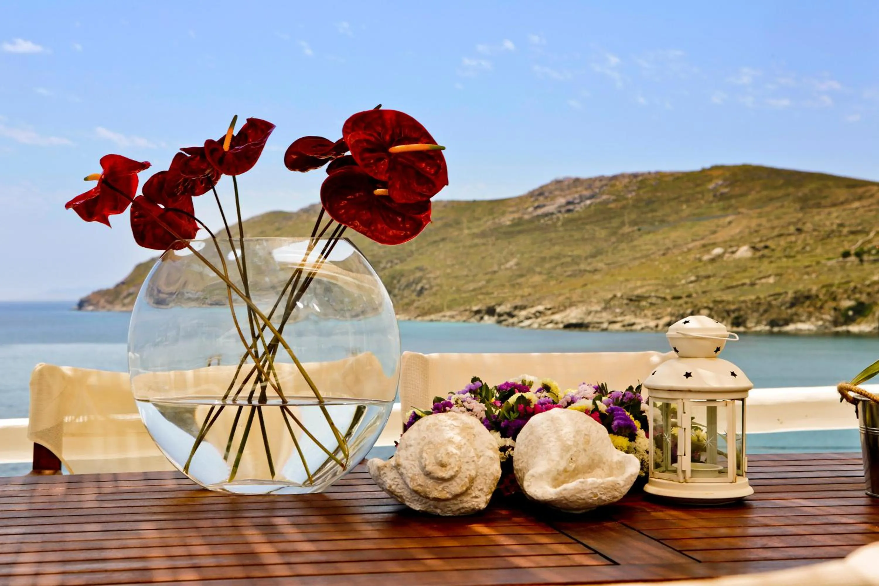 Patio in Salty Houses