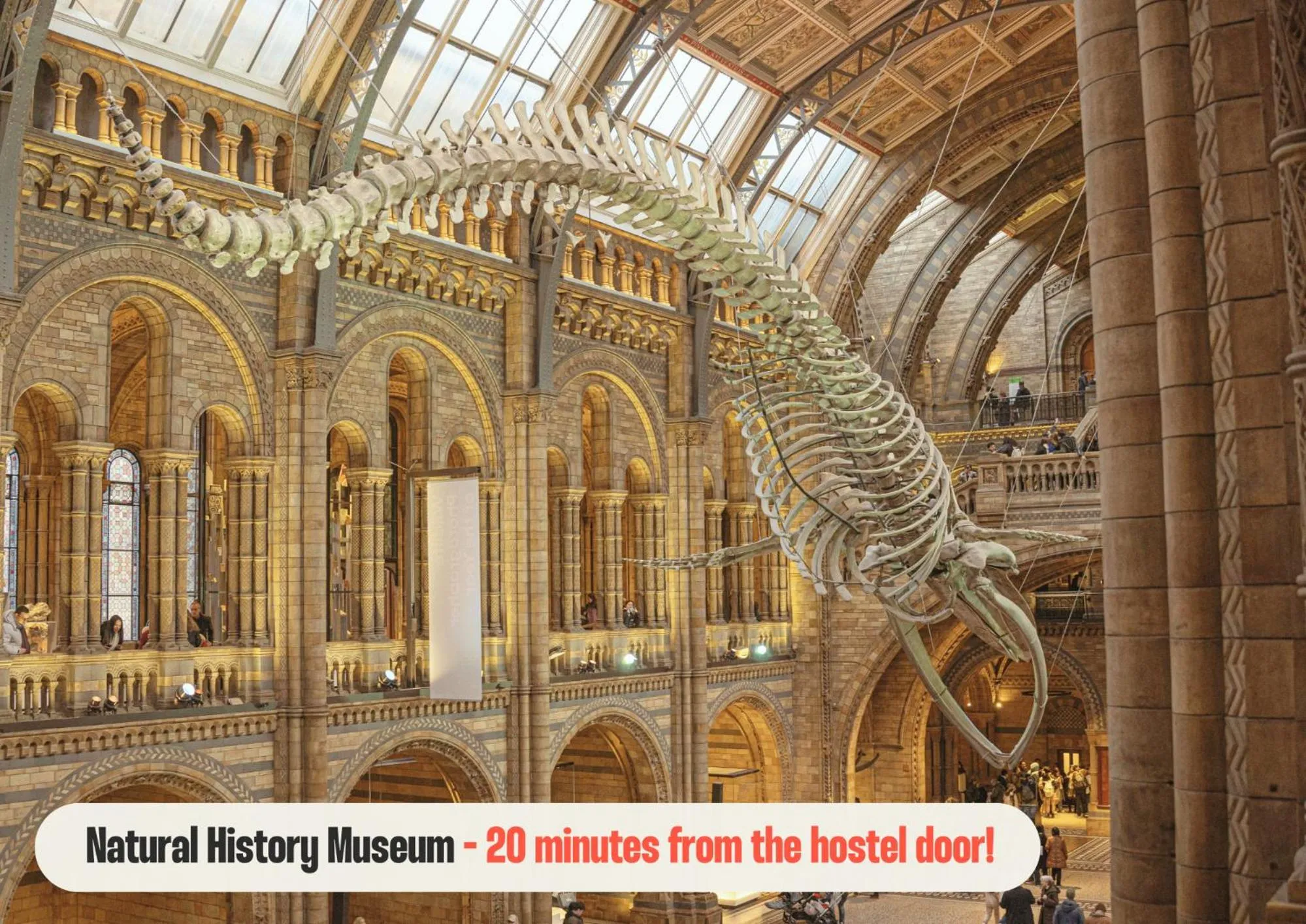 Nearby landmark in Astor Victoria Hostel