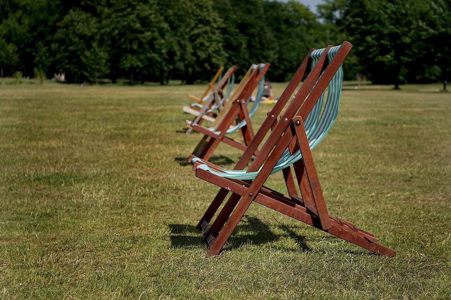 Natural landscape in Astor Victoria Hostel