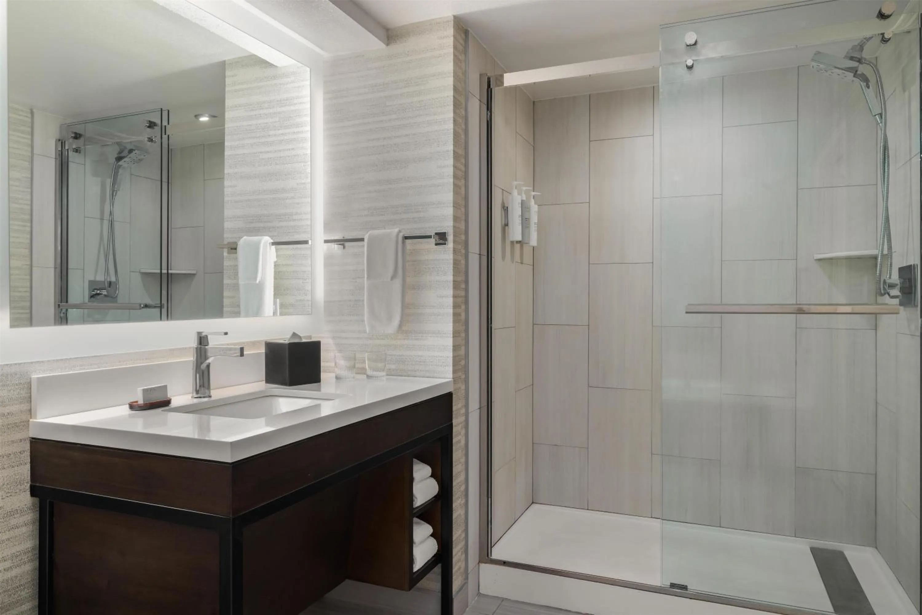 Bathroom in Embassy Suites by Hilton Laredo