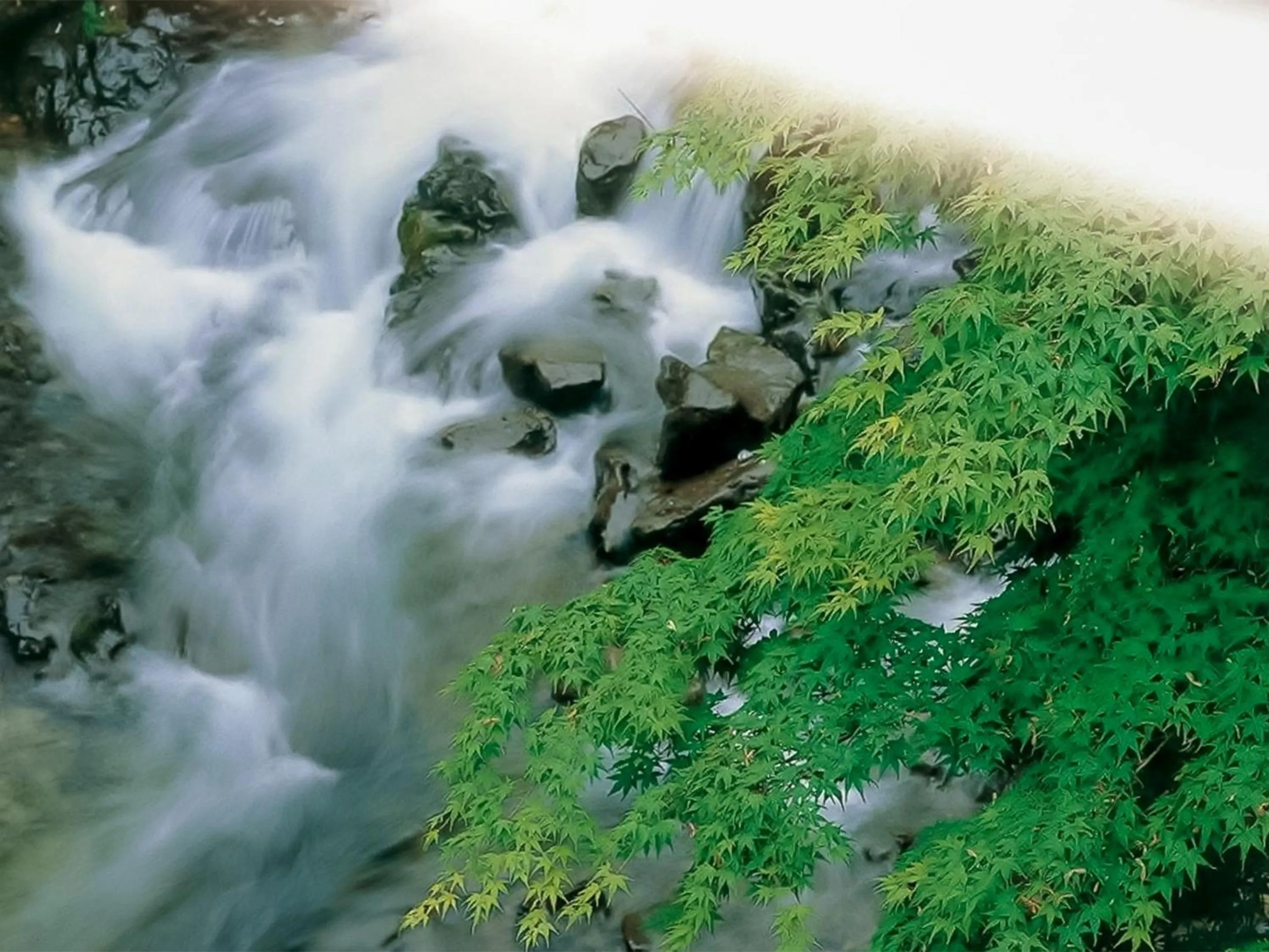 River view in Hotel Nosegawa