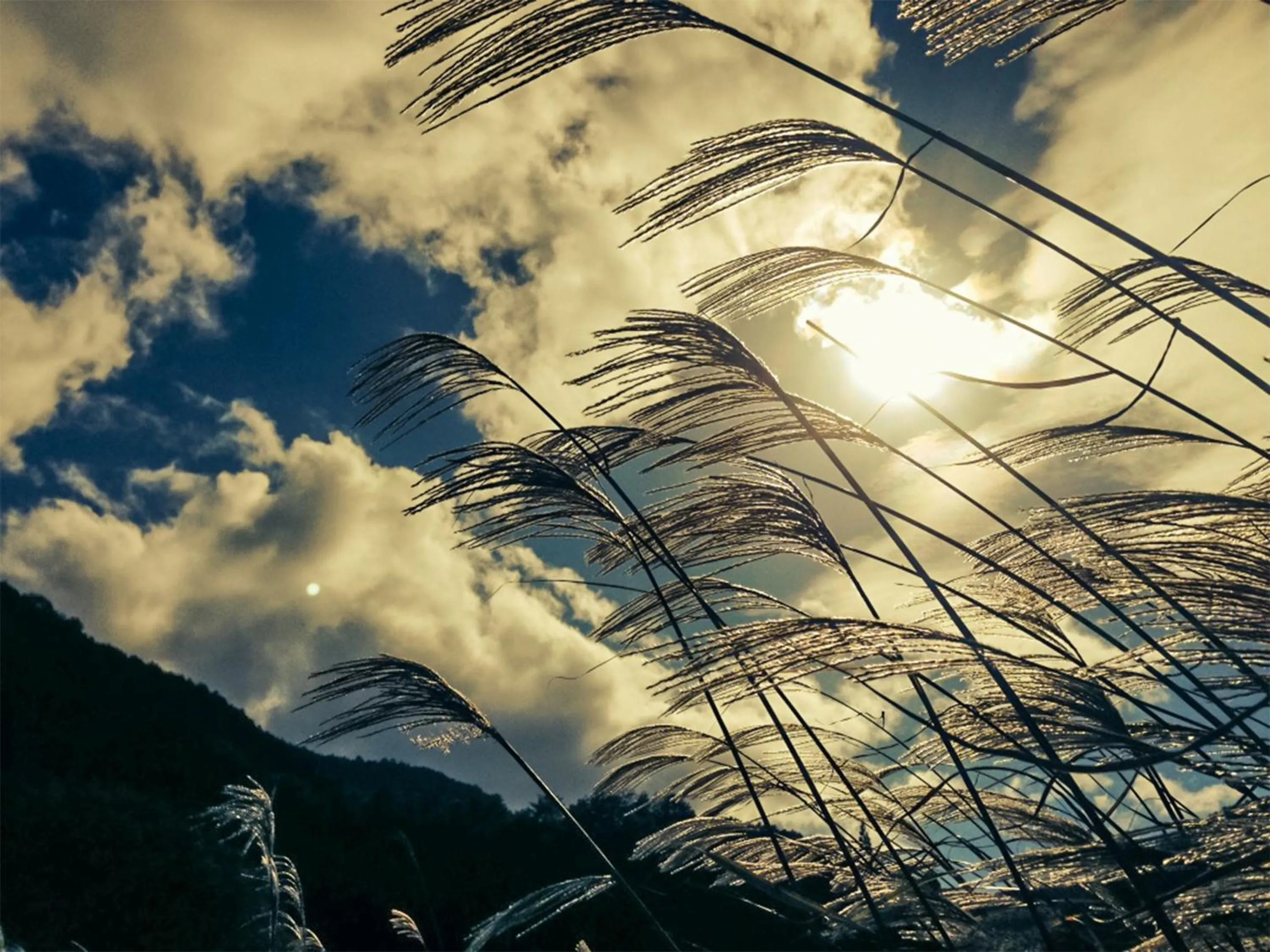 Off site in Hotel Nosegawa