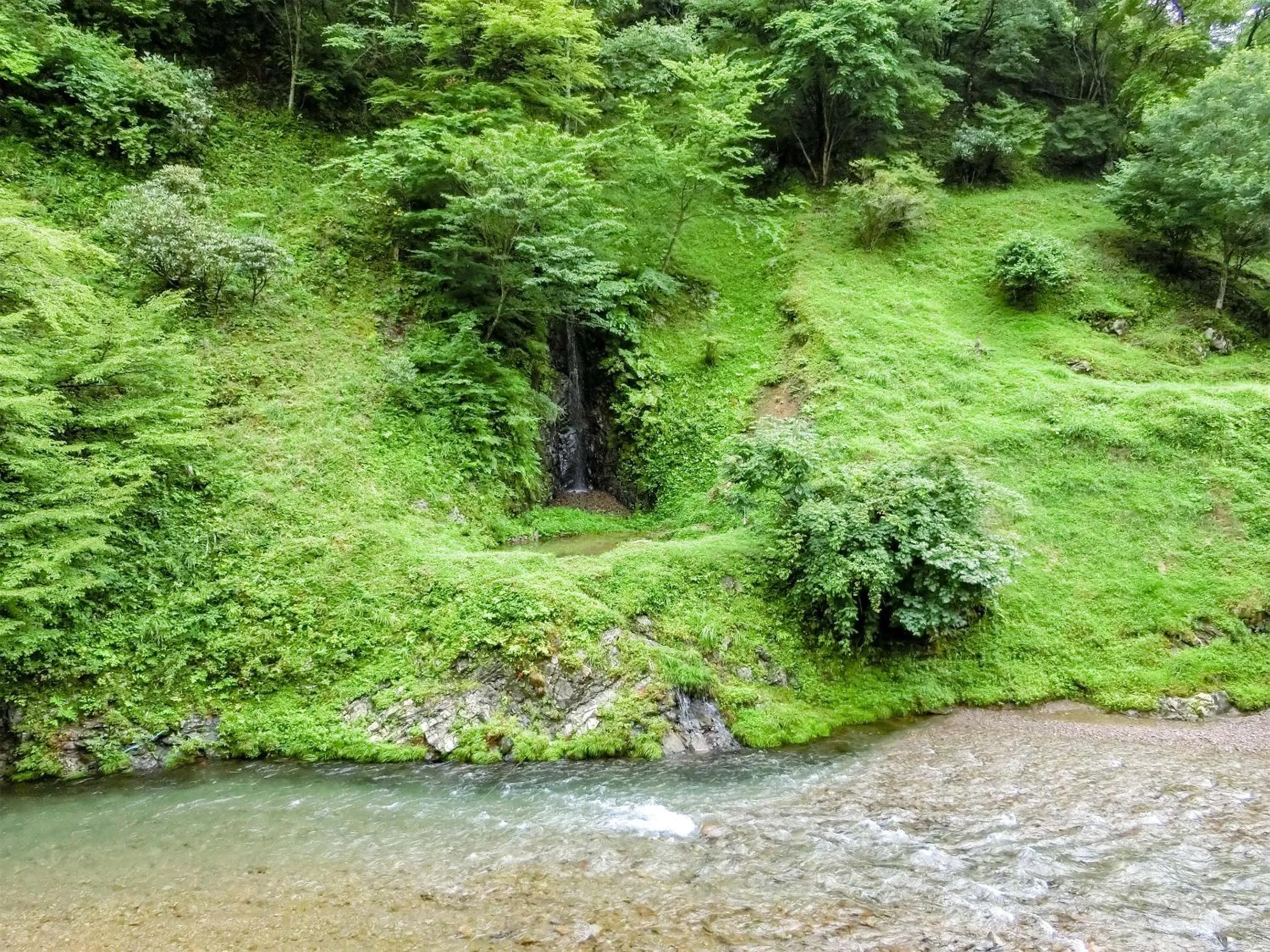 River view in Hotel Nosegawa