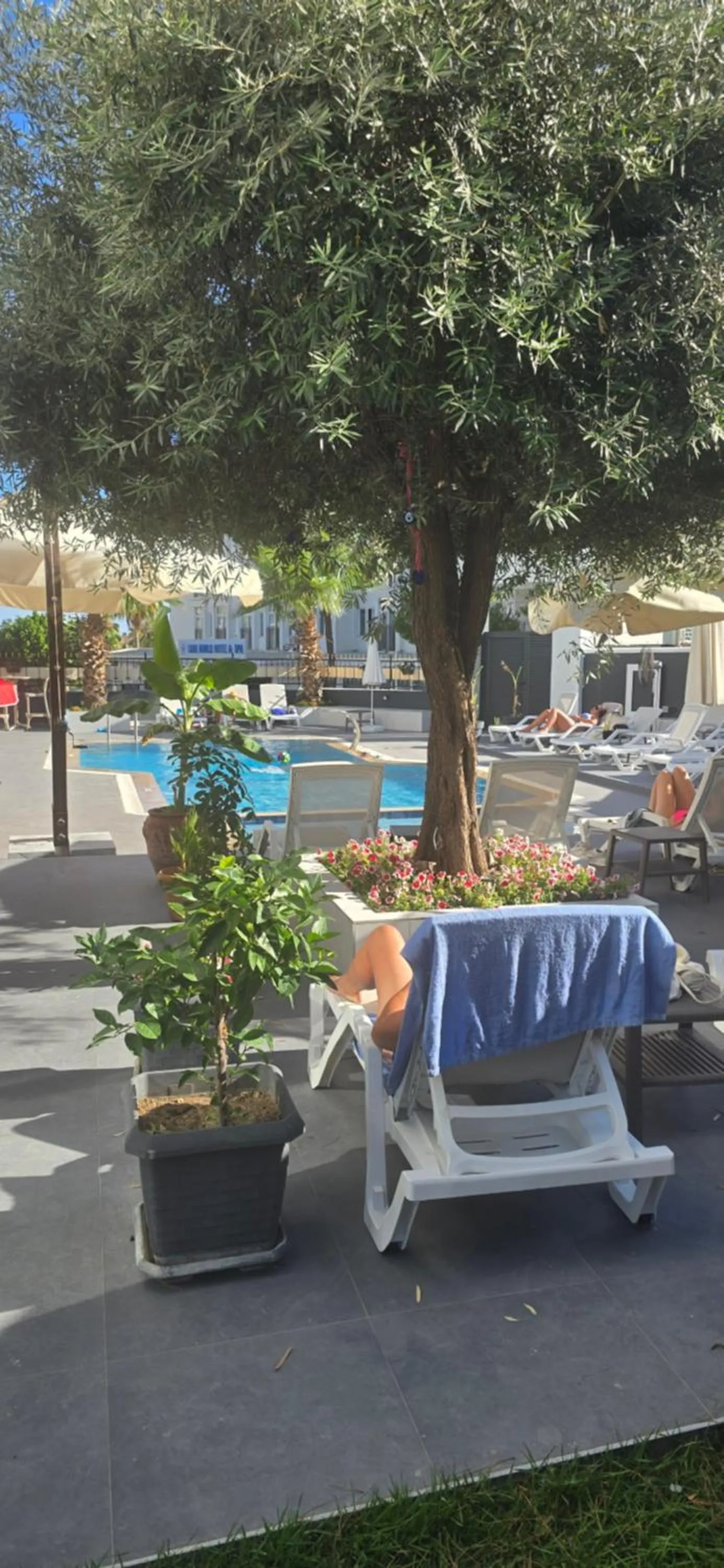 Day in Esperanza Hotel