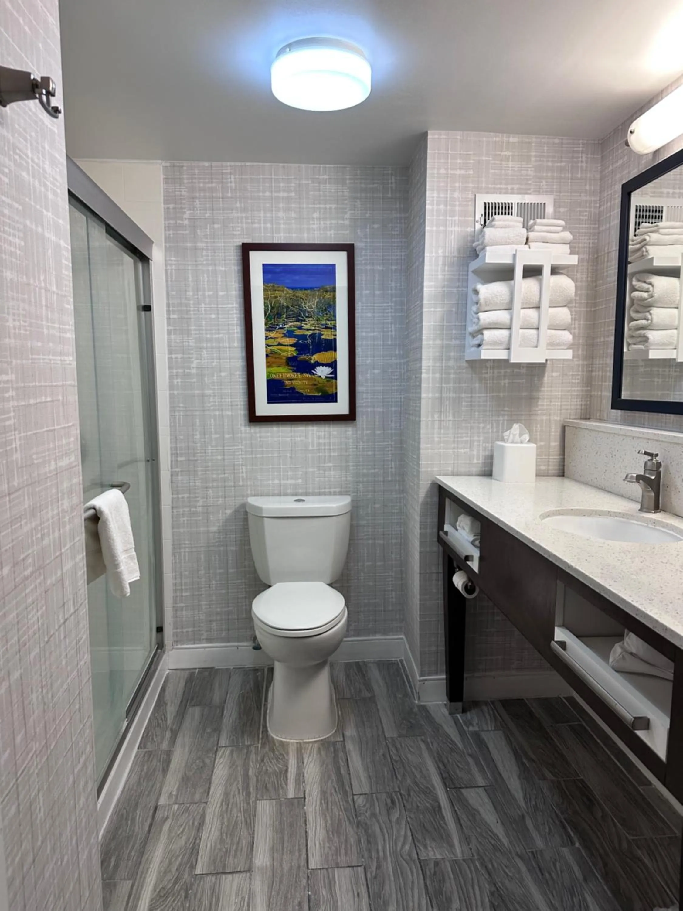 Shower in Hampton Inn Waycross