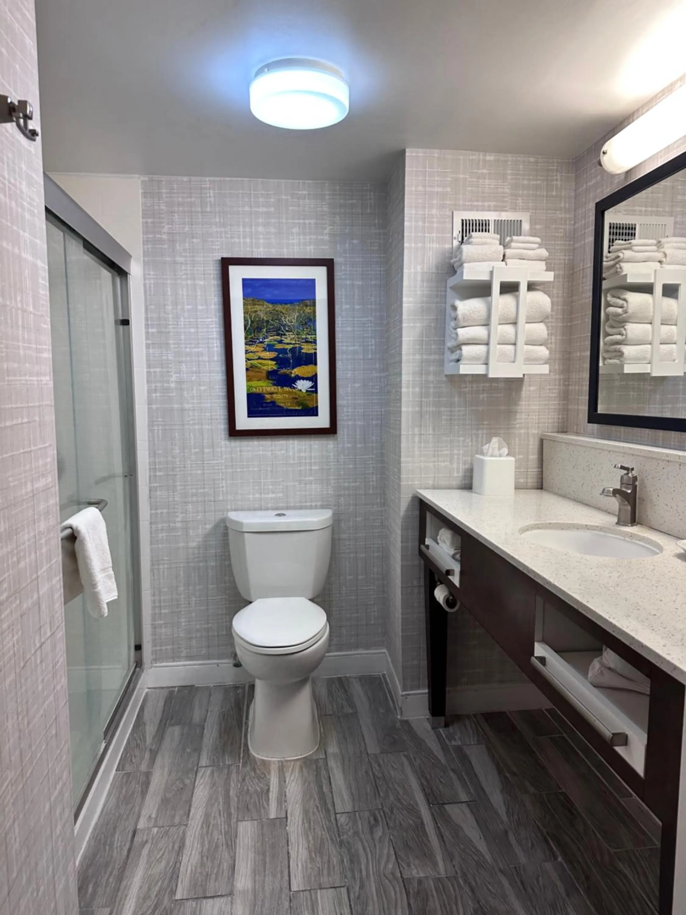 Shower in Hampton Inn Waycross