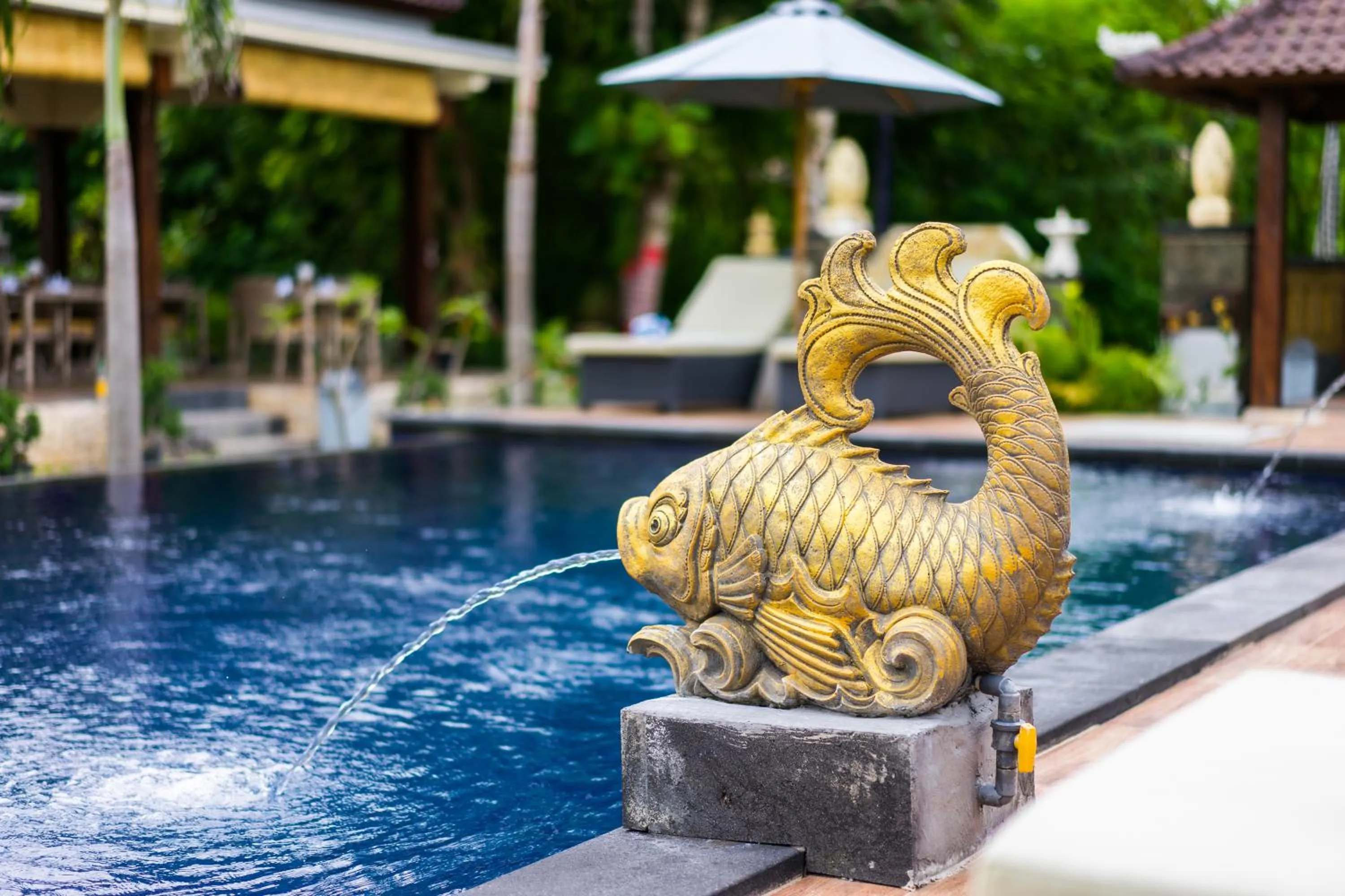 Swimming pool in Sunset Cave Villas Lembongan