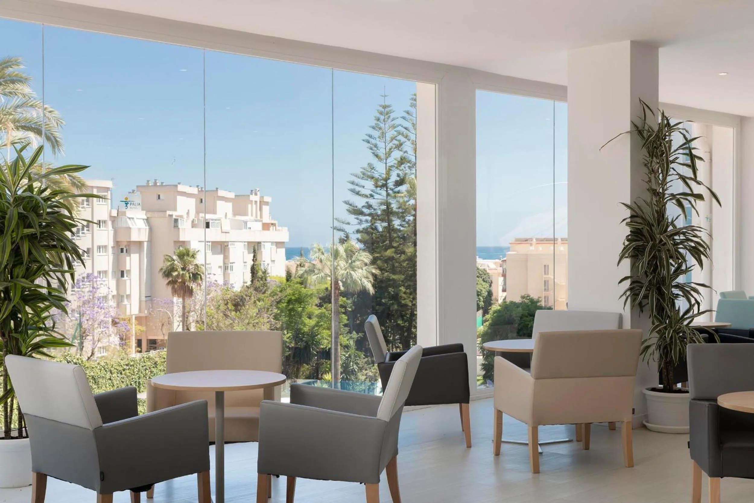 Lounge or bar in Hotel Palia Las Palomas