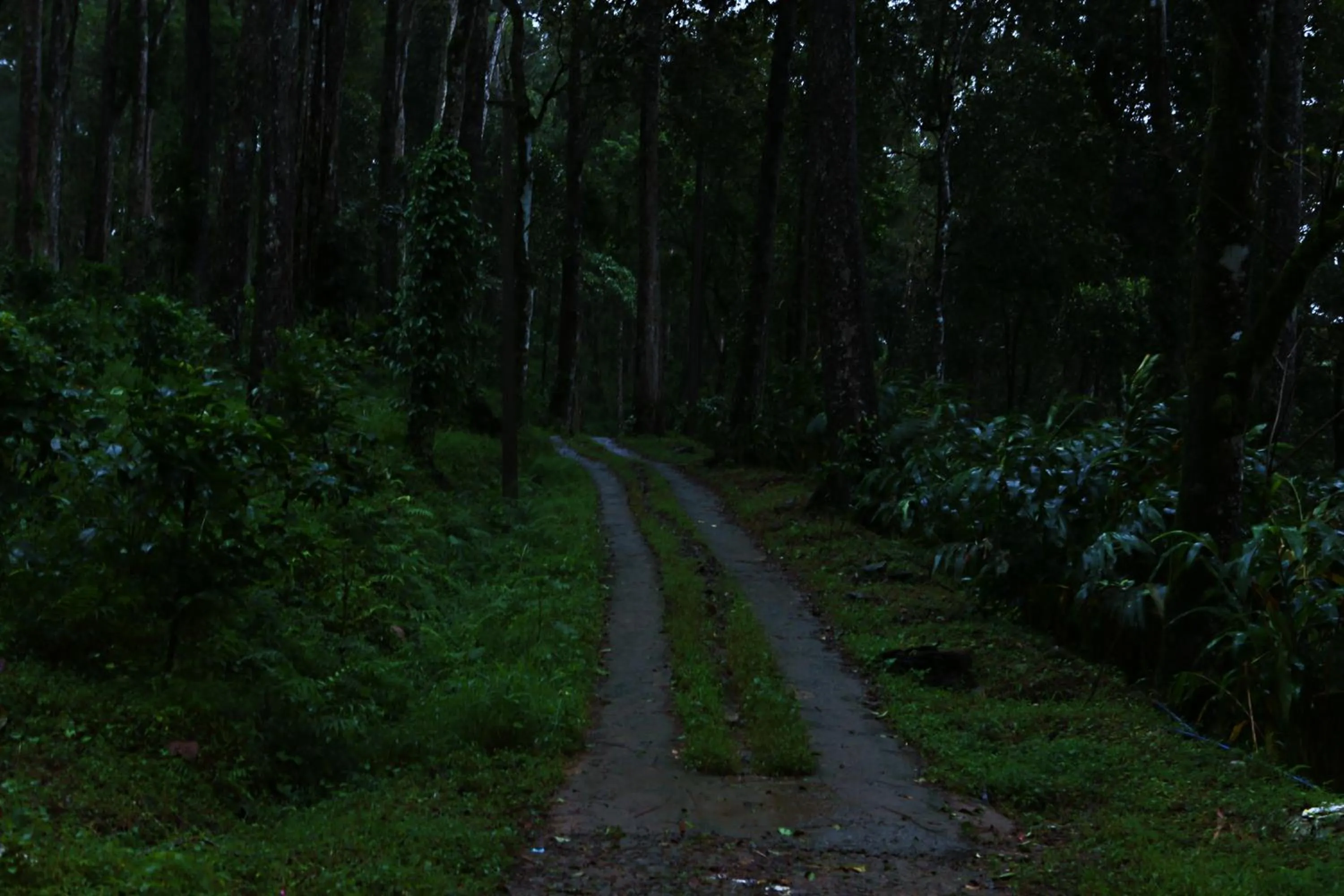 Natural landscape in Dew Drops Farm Resorts