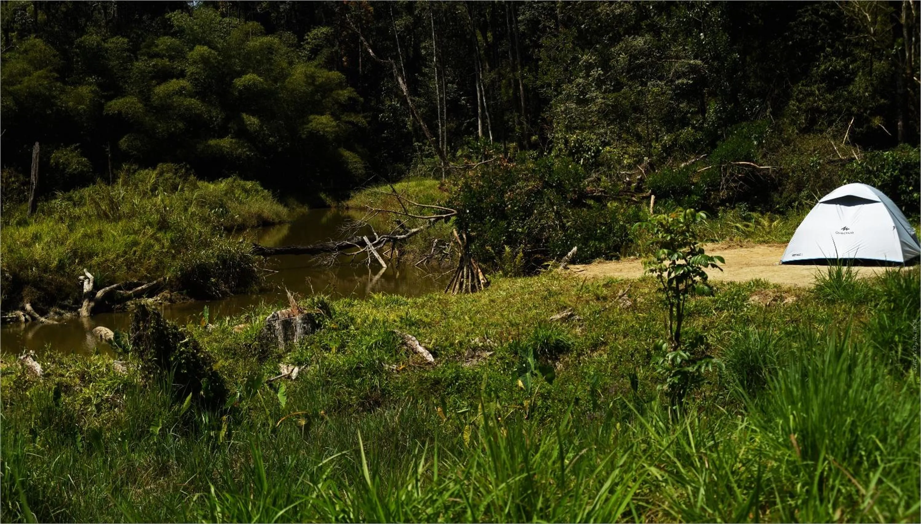 Other in Dew Drops Farm Resorts