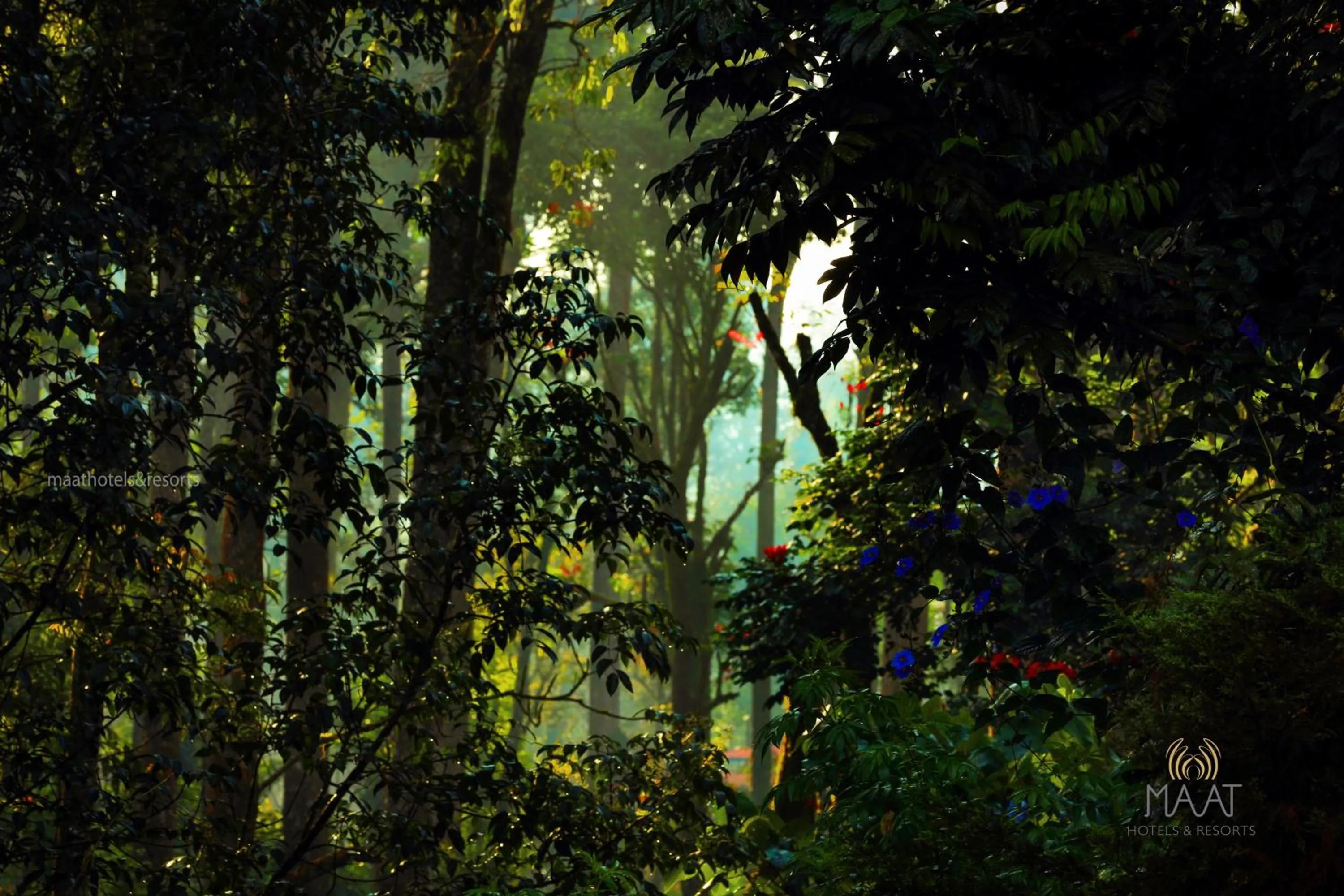 Day in Dew Drops Farm Resorts