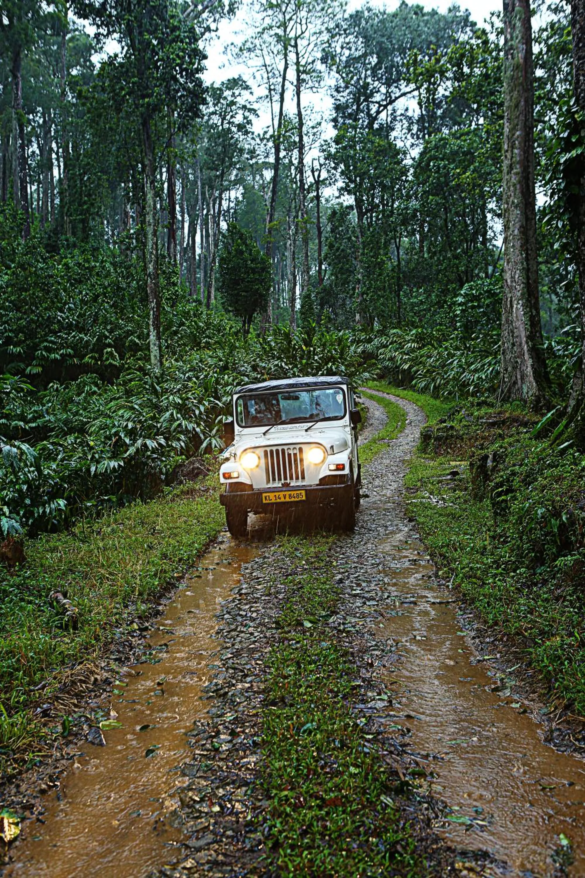 Day in Dew Drops Farm Resorts