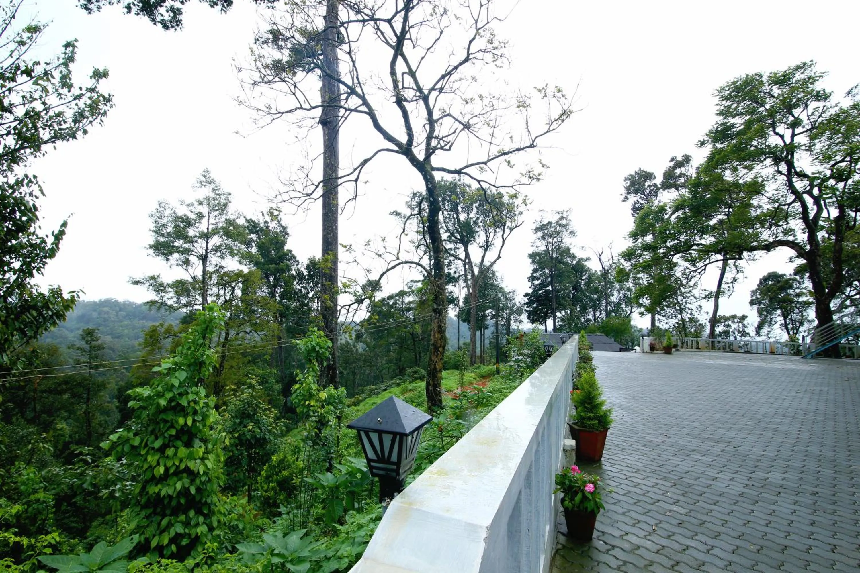 Day in Dew Drops Farm Resorts