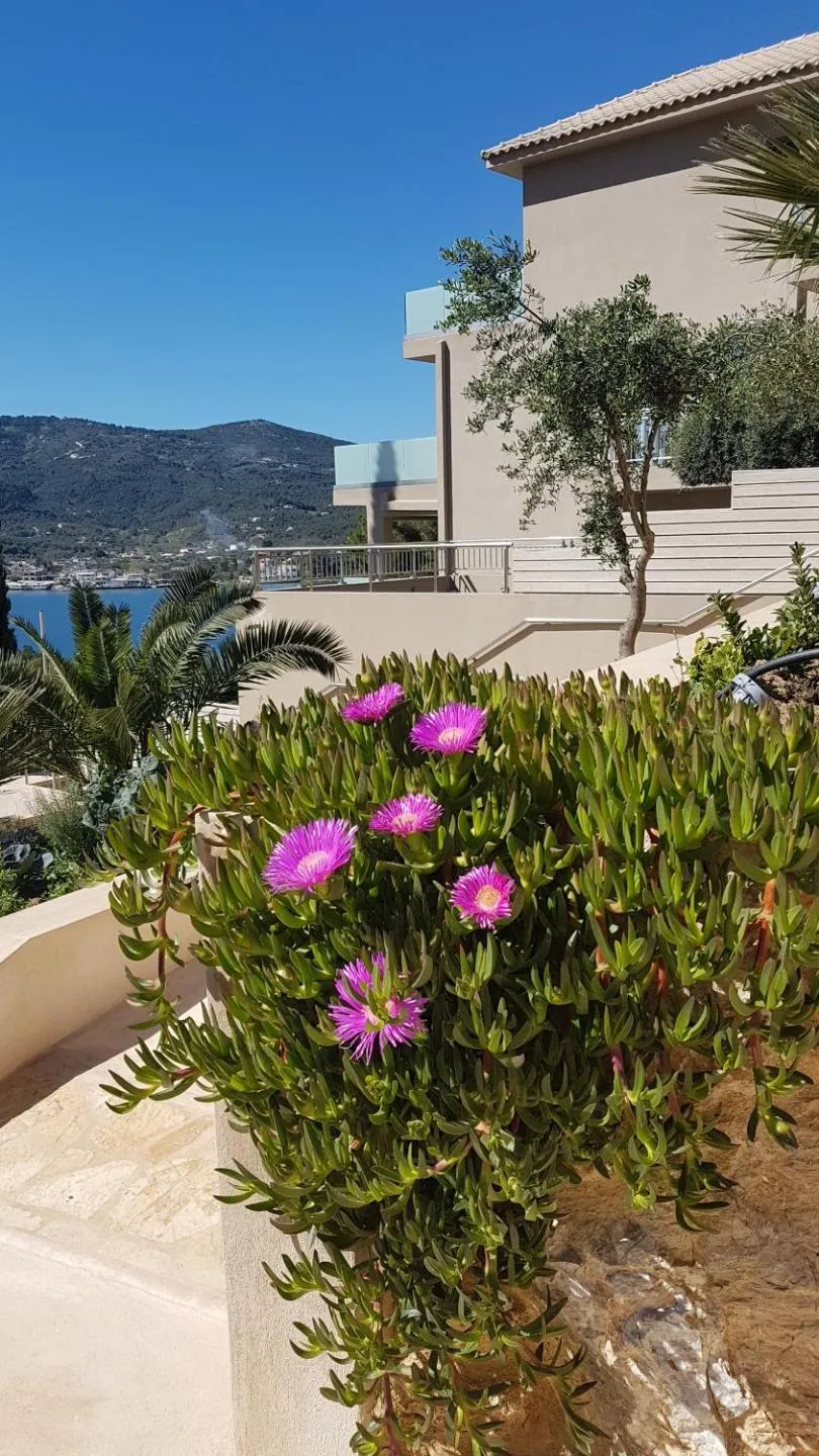 Garden in Core Luxury Suites